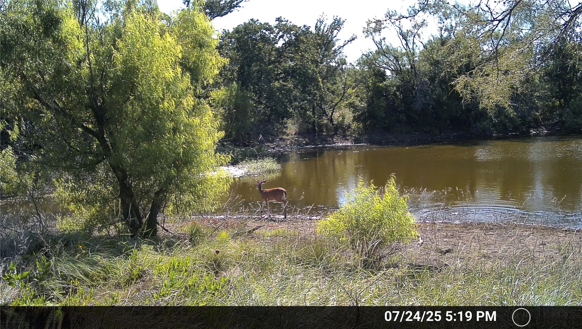 Unimproved Land For Sale in Stephens County , N/A Wayland Ranches, Breckenridge, Texas 76424, 0, 0, Garage spaces, 0 Sqft, built in 0, mls#21225734, Real Estate Agent in Breckenridge, Homes For Sale in Stephens county, Homes For Sale in Breckenridge, Realtor in Breckenridge Texas, Real Estate Brokerage Independent Realty Texas, Luminita Cordes Realtor