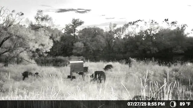 Unimproved Land For Sale in Stephens County , N/A Wayland Ranches, Breckenridge, Texas 76424, 0, 0, Garage spaces, 0 Sqft, built in 0, mls#21225734, Real Estate Agent in Breckenridge, Homes For Sale in Stephens county, Homes For Sale in Breckenridge, Realtor in Breckenridge Texas, Real Estate Brokerage Independent Realty Texas, Luminita Cordes Realtor