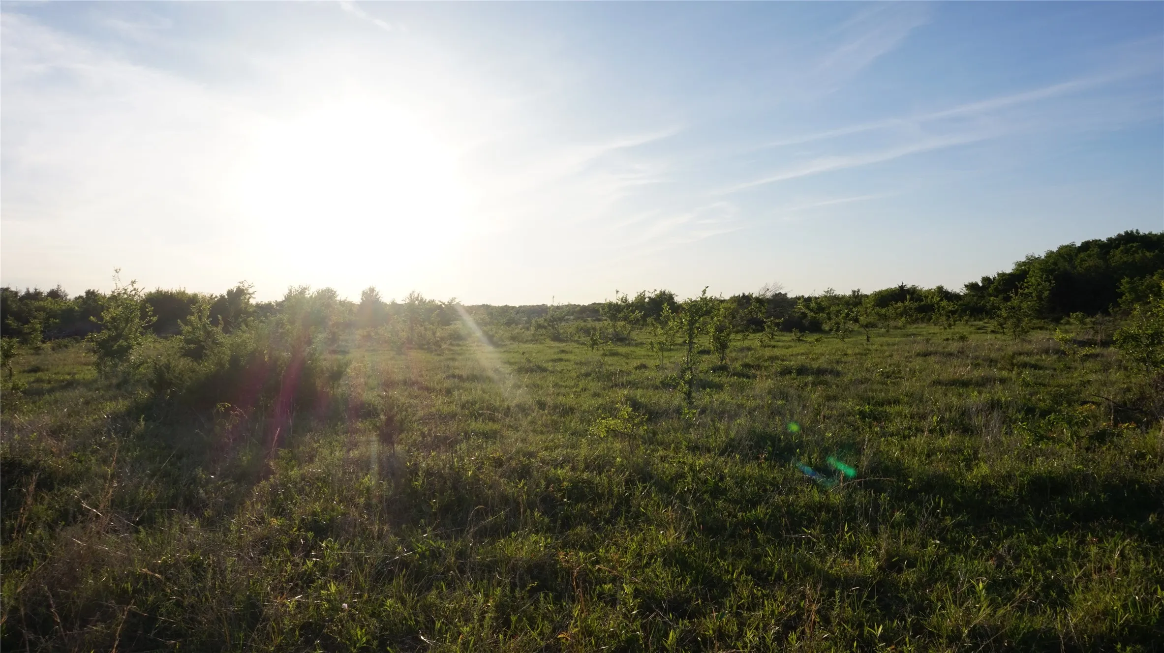 Unimproved Land For Sale in Grayson County , TBD Lot 1-2 Adams Road, Sherman, Texas 75090, 0, 0, Garage spaces, 0 Sqft, built in 0, mls#21224200, Real Estate Agent in Sherman, Homes For Sale in Grayson county, Homes For Sale in Sherman, Realtor in Sherman Texas, Real Estate Brokerage Independent Realty Texas, Luminita Cordes Realtor
