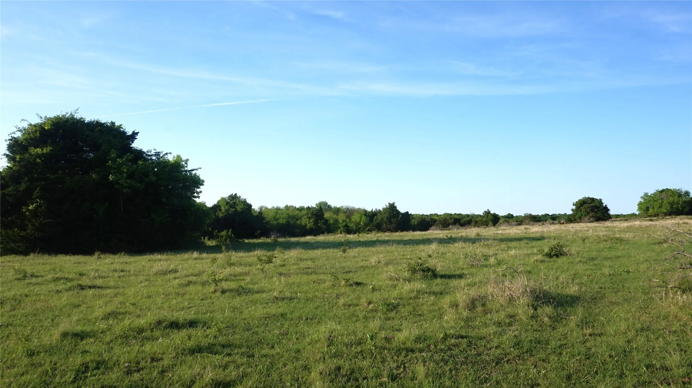 Unimproved Land For Sale in Grayson County , TBD Lot 1-2 Adams Road, Sherman, Texas 75090, 0, 0, Garage spaces, 0 Sqft, built in 0, mls#21224200, Real Estate Agent in Sherman, Homes For Sale in Grayson county, Homes For Sale in Sherman, Realtor in Sherman Texas, Real Estate Brokerage Independent Realty Texas, Luminita Cordes Realtor