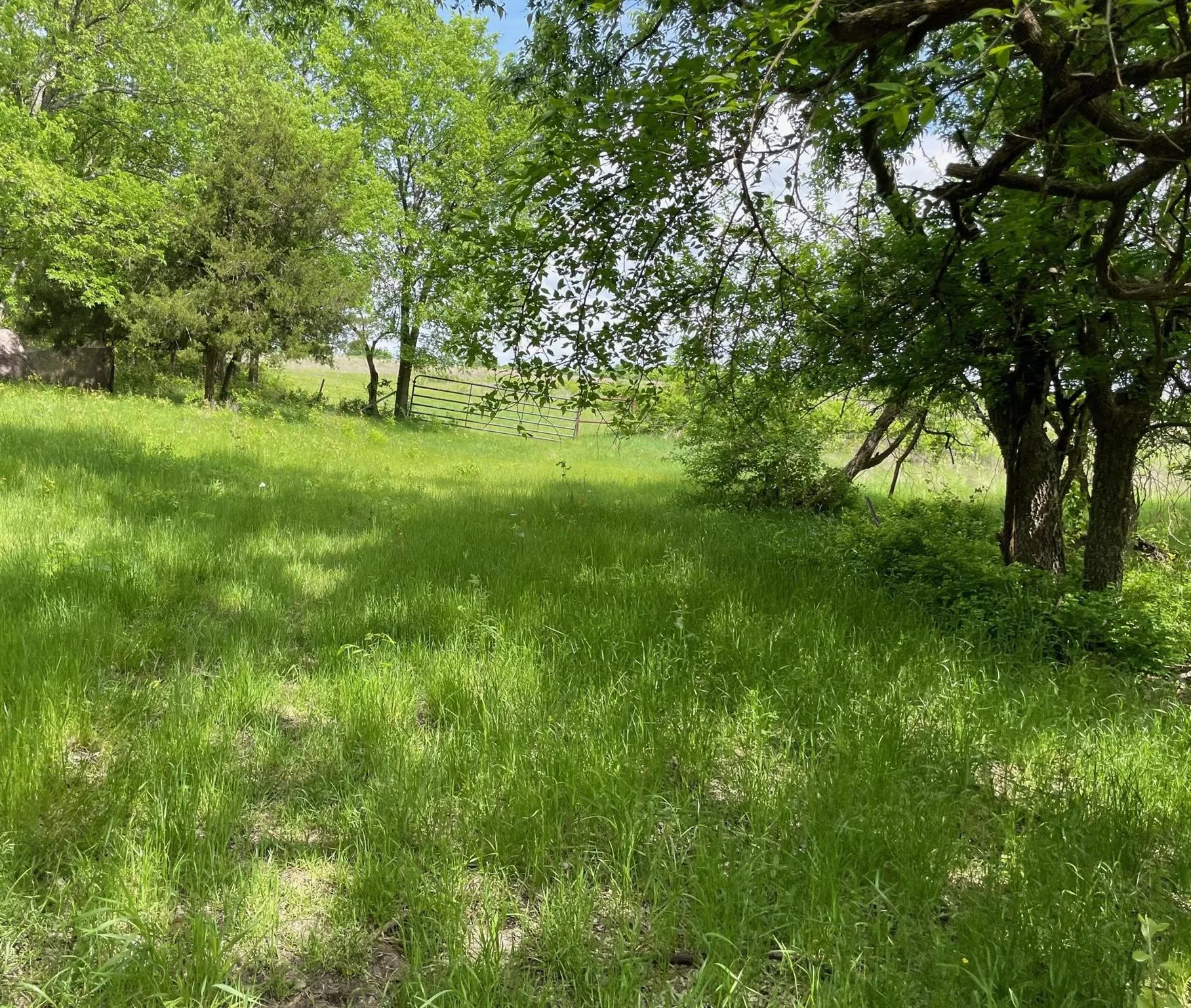 Unimproved Land For Sale in Hunt County , 22 Acres FM 118, Greenville, Texas 75401, 0, 0, Garage spaces, 0 Sqft, built in 0, mls#21225743, Real Estate Agent in Greenville, Homes For Sale in Hunt county, Homes For Sale in Greenville, Realtor in Greenville Texas, Real Estate Brokerage Independent Realty Texas, Luminita Cordes Realtor