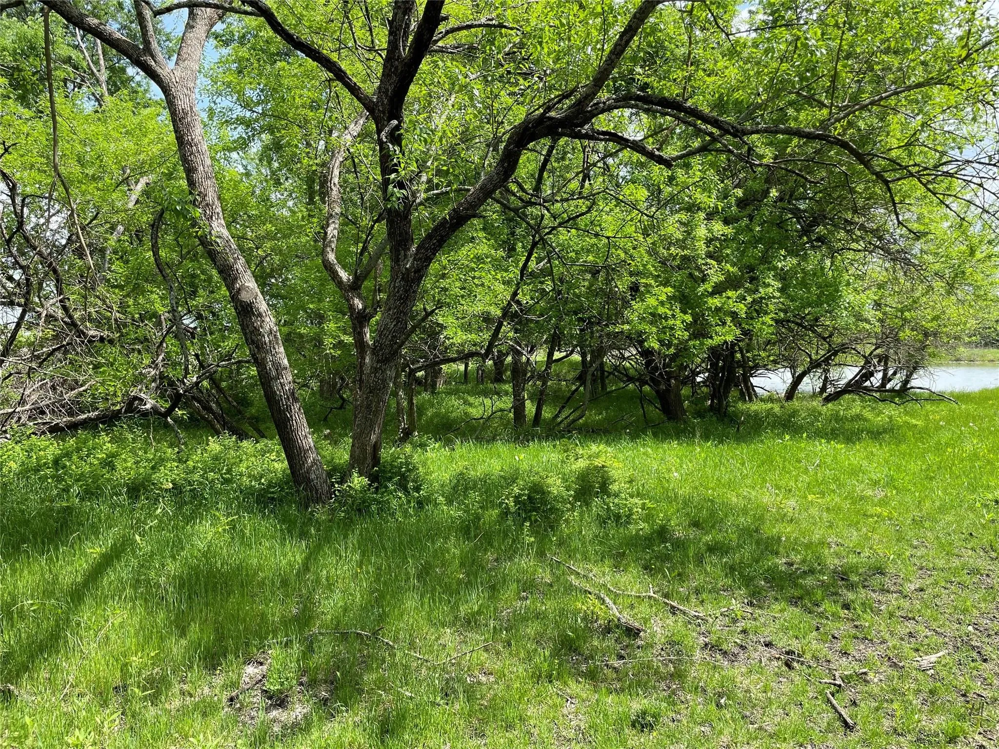 Unimproved Land For Sale in Hunt County , 22 Acres FM 118, Greenville, Texas 75401, 0, 0, Garage spaces, 0 Sqft, built in 0, mls#21225743, Real Estate Agent in Greenville, Homes For Sale in Hunt county, Homes For Sale in Greenville, Realtor in Greenville Texas, Real Estate Brokerage Independent Realty Texas, Luminita Cordes Realtor