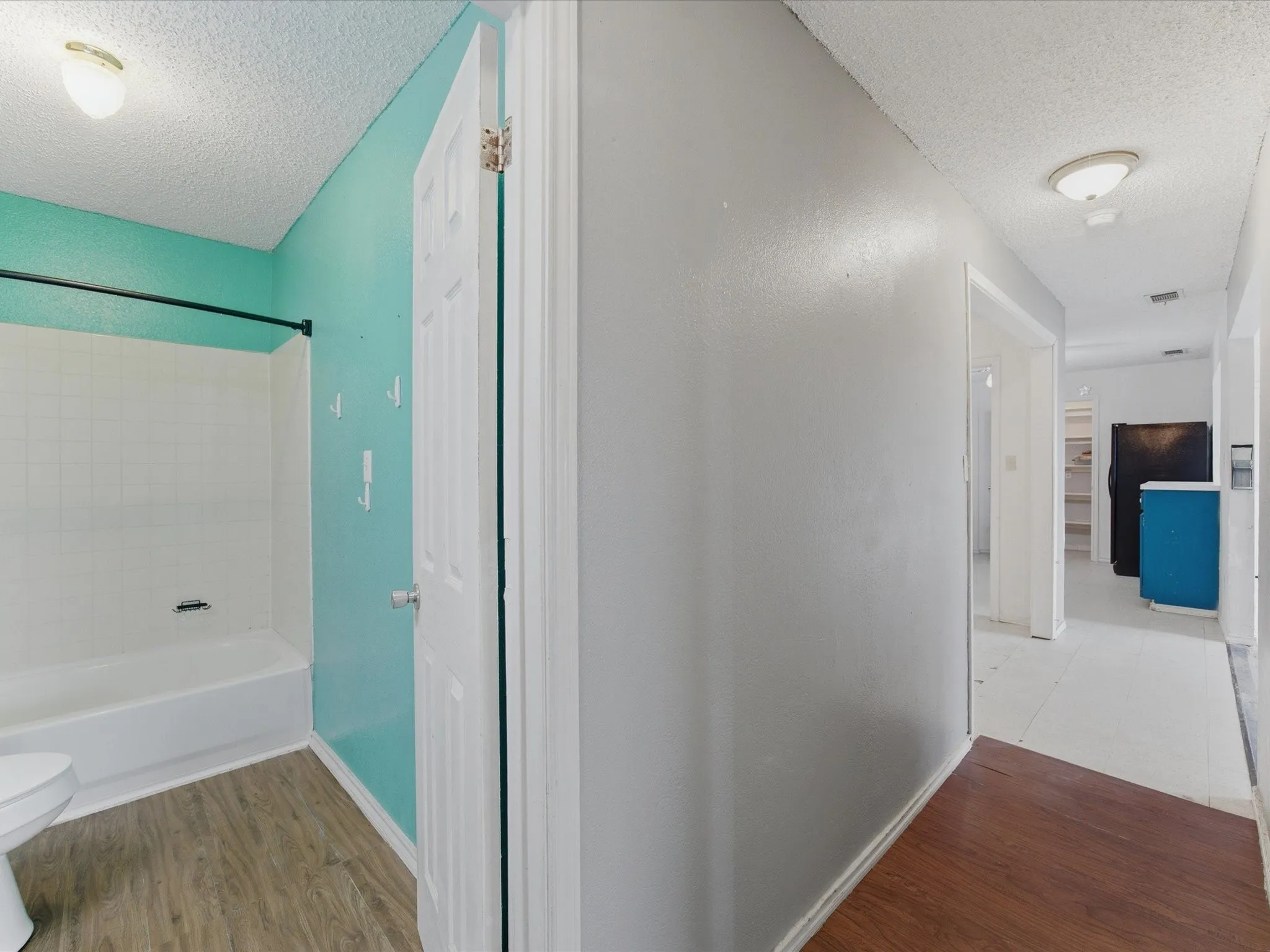 Bathroom and hall