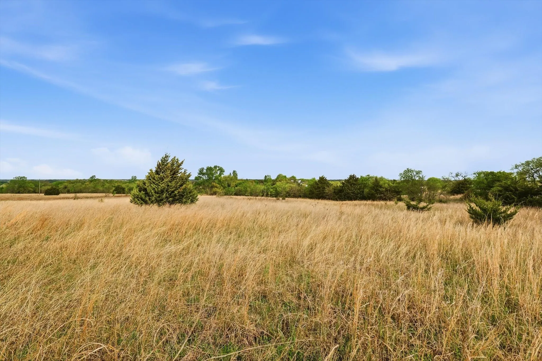 Prairie grassland