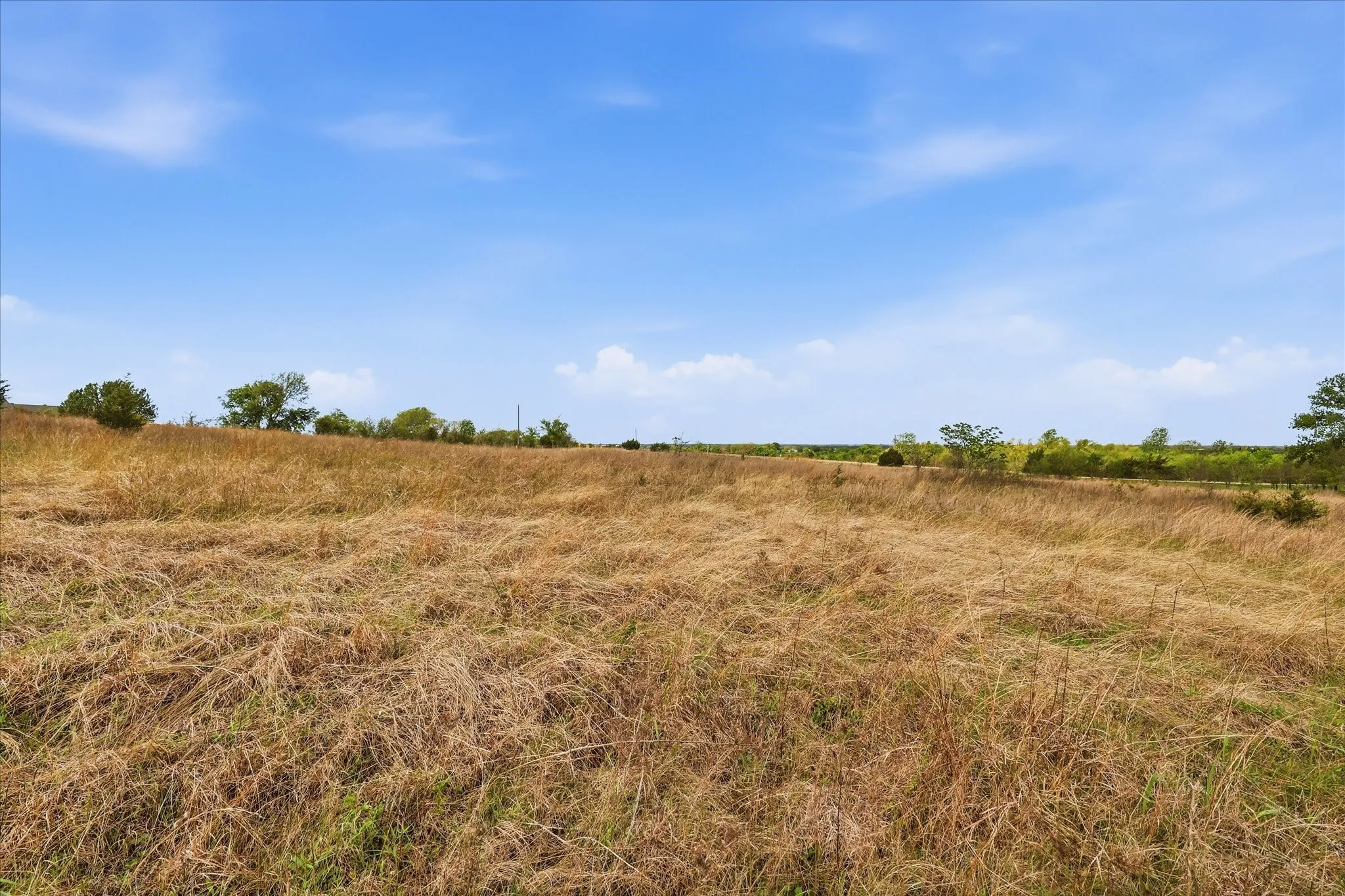 Unimproved Land For Sale in Collin County , 0 County Road 617, Farmersville, Texas 75442, 0, 0, Garage spaces, 0 Sqft, built in 0, mls#21225808, Real Estate Agent in Farmersville, Homes For Sale in Collin county, Homes For Sale in Farmersville, Realtor in Farmersville Texas, Real Estate Brokerage Independent Realty Texas, Luminita Cordes Realtor