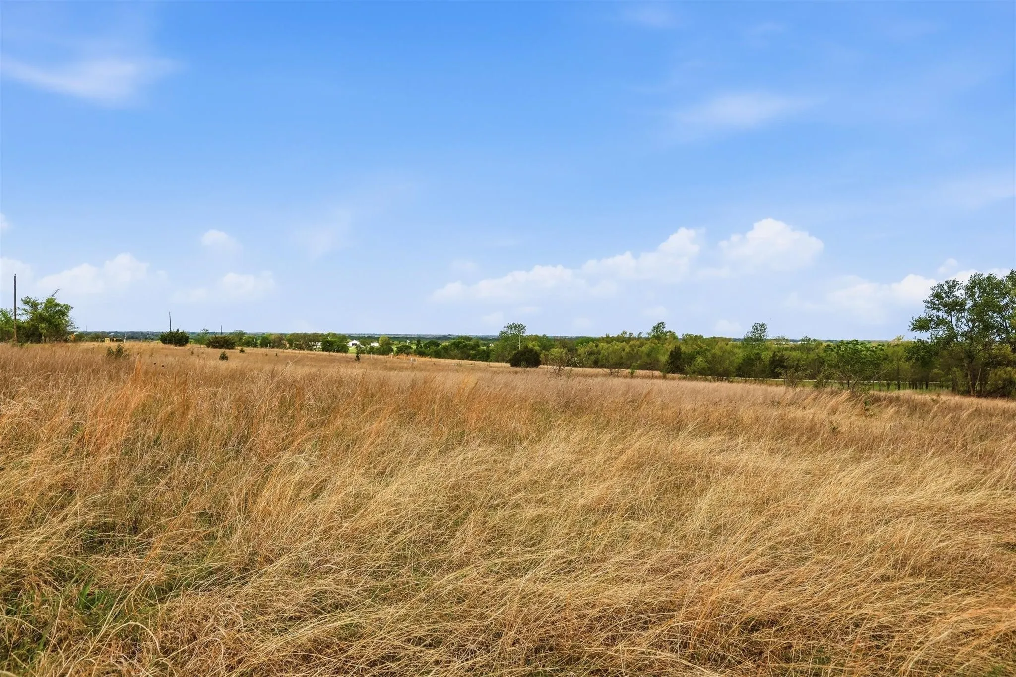 Unimproved Land For Sale in Collin County , 0 County Road 617, Farmersville, Texas 75442, 0, 0, Garage spaces, 0 Sqft, built in 0, mls#21225808, Real Estate Agent in Farmersville, Homes For Sale in Collin county, Homes For Sale in Farmersville, Realtor in Farmersville Texas, Real Estate Brokerage Independent Realty Texas, Luminita Cordes Realtor