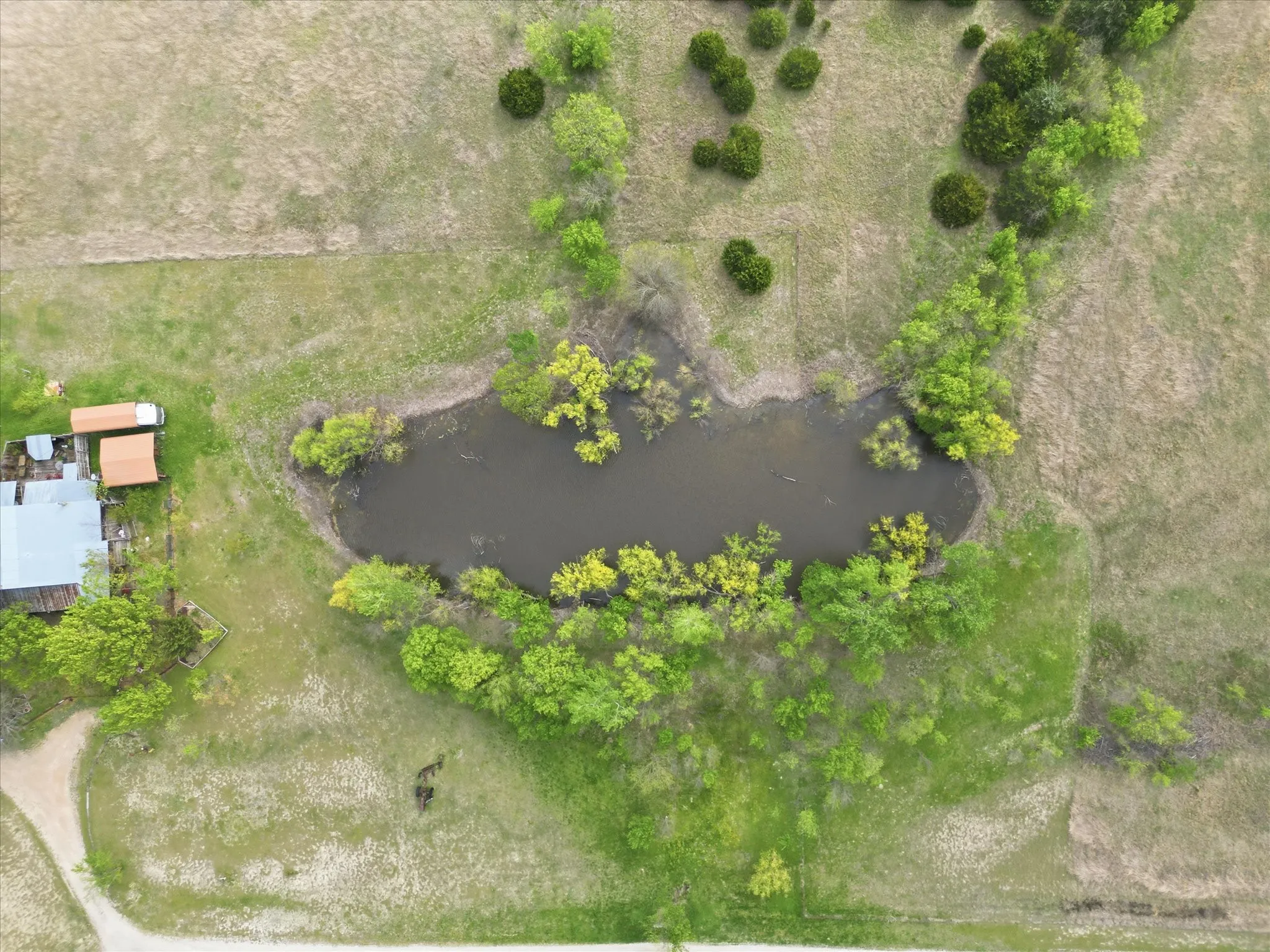 Unimproved Land For Sale in Collin County , 0 County Road 617, Farmersville, Texas 75442, 0, 0, Garage spaces, 0 Sqft, built in 0, mls#21225808, Real Estate Agent in Farmersville, Homes For Sale in Collin county, Homes For Sale in Farmersville, Realtor in Farmersville Texas, Real Estate Brokerage Independent Realty Texas, Luminita Cordes Realtor