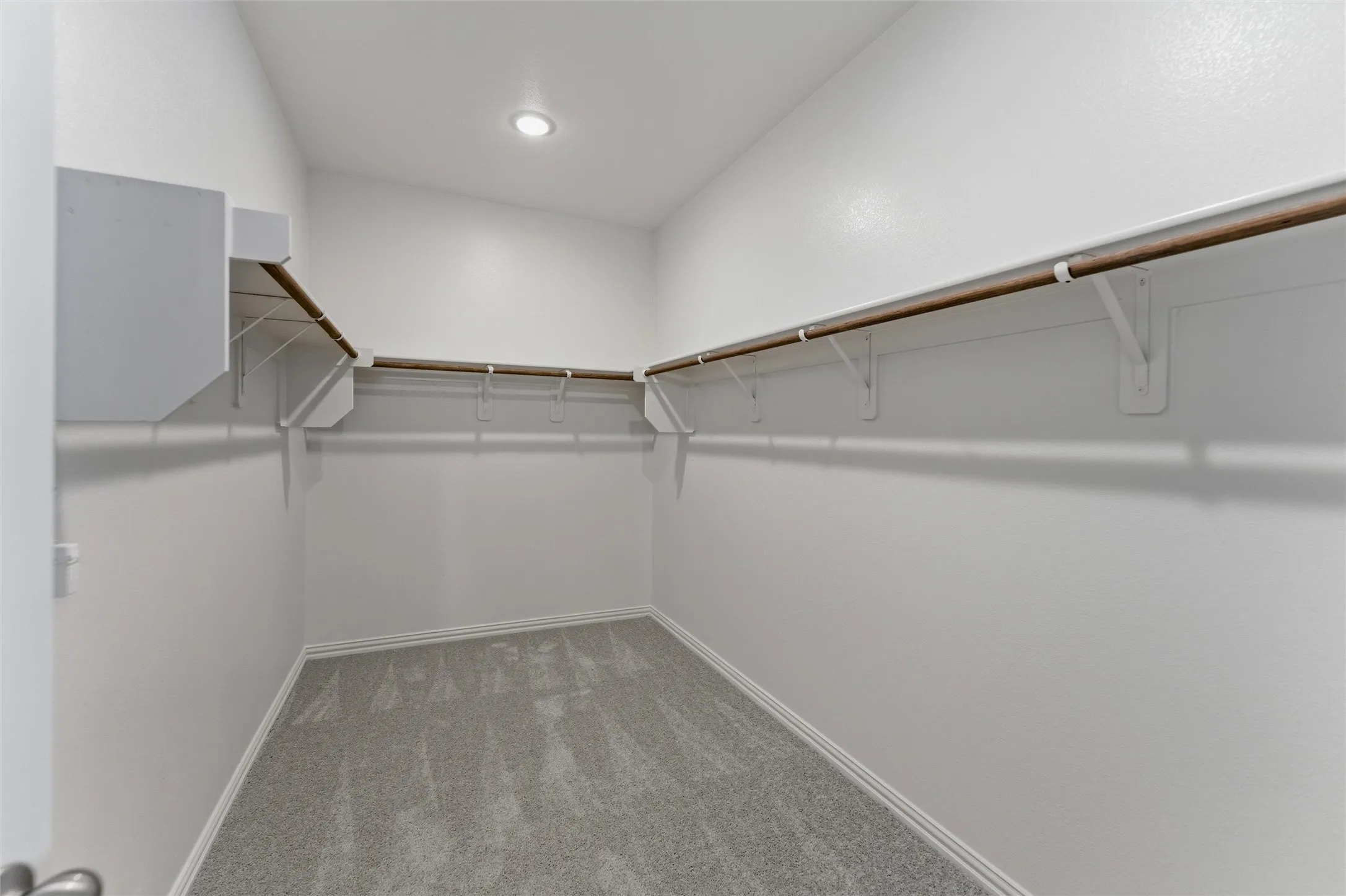 Walk in closet featuring carpet flooring