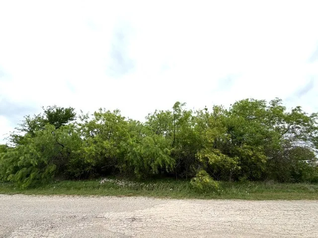 Improved Land For Sale in Palo Pinto County , TBD Mcalister, Mingus, Texas 76463, 0, 0, Garage spaces, 0 Sqft, built in 0, mls#21224687, Real Estate Agent in Mingus, Homes For Sale in Palo Pinto county, Homes For Sale in Mingus, Realtor in Mingus Texas, Real Estate Brokerage Independent Realty Texas, Luminita Cordes Realtor