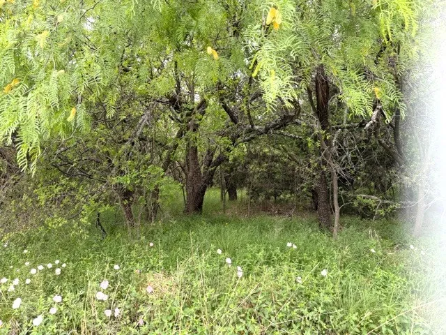 Improved Land For Sale in Palo Pinto County , TBD Mcalister, Mingus, Texas 76463, 0, 0, Garage spaces, 0 Sqft, built in 0, mls#21224687, Real Estate Agent in Mingus, Homes For Sale in Palo Pinto county, Homes For Sale in Mingus, Realtor in Mingus Texas, Real Estate Brokerage Independent Realty Texas, Luminita Cordes Realtor