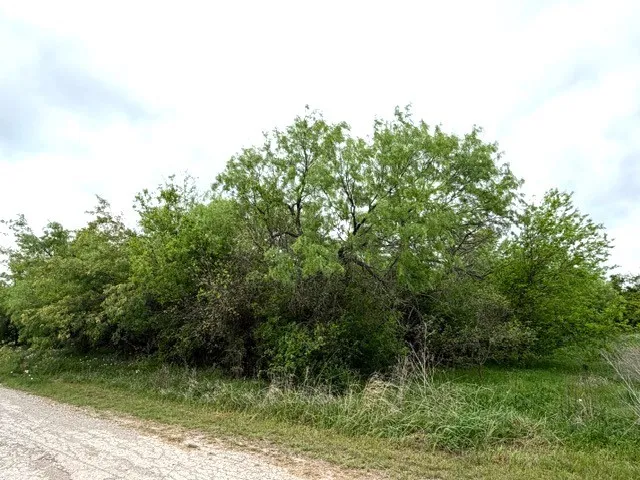 Improved Land For Sale in Palo Pinto County , TBD Mcalister, Mingus, Texas 76463, 0, 0, Garage spaces, 0 Sqft, built in 0, mls#21224687, Real Estate Agent in Mingus, Homes For Sale in Palo Pinto county, Homes For Sale in Mingus, Realtor in Mingus Texas, Real Estate Brokerage Independent Realty Texas, Luminita Cordes Realtor