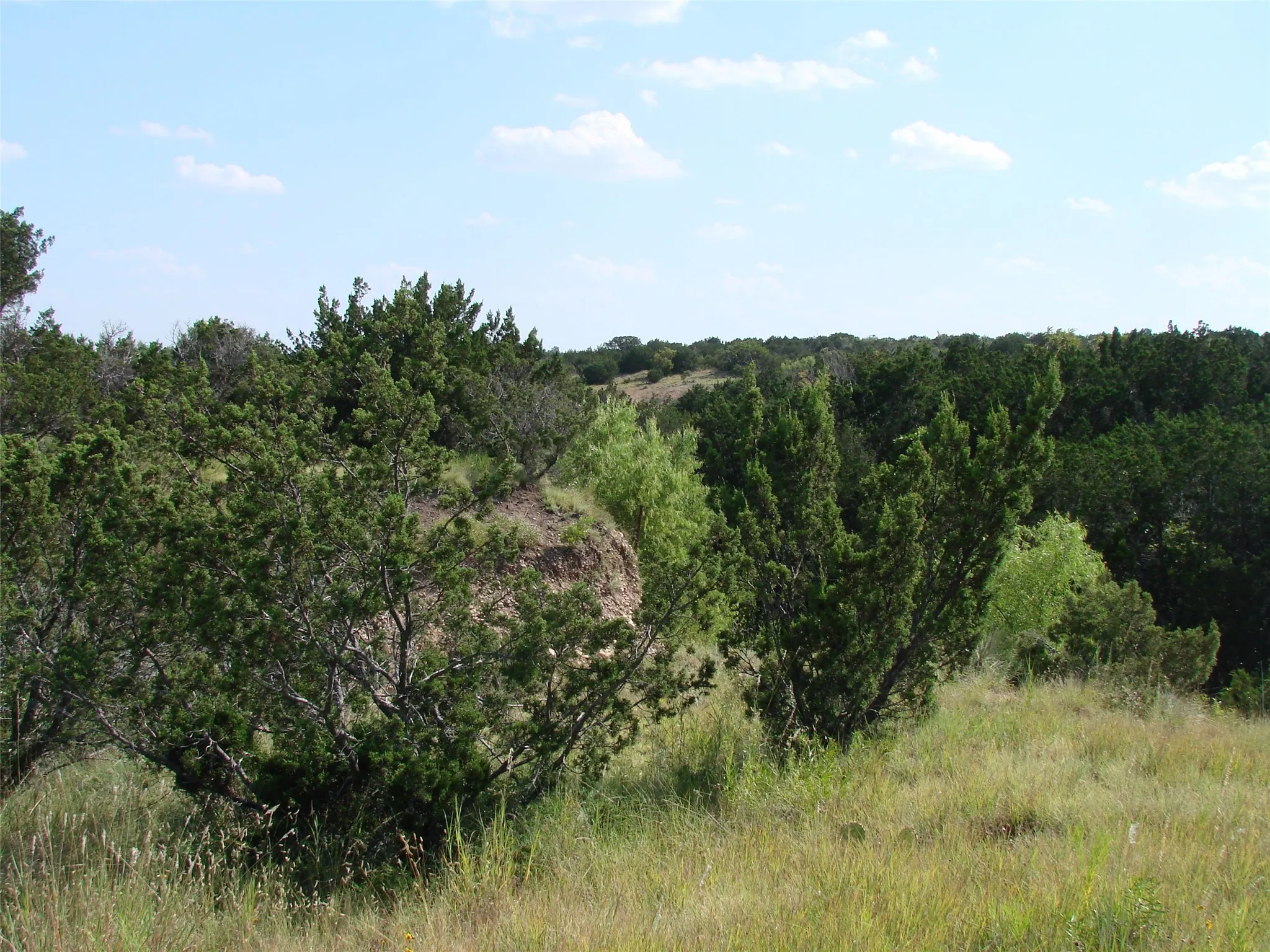 Ranch For Sale in Taylor County , 14653 US HWY 277, Wingate, Texas 79566, 0, 0, Garage spaces, 0 Sqft, built in 1985, mls#21225007, Real Estate Agent in Wingate, Homes For Sale in Taylor county, Homes For Sale in Wingate, Realtor in Wingate Texas, Real Estate Brokerage Independent Realty Texas, Luminita Cordes Realtor