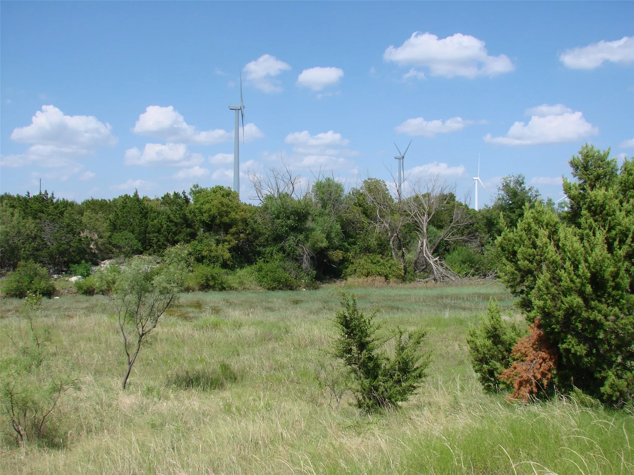Ranch For Sale in Taylor County , 14653 US HWY 277, Wingate, Texas 79566, 0, 0, Garage spaces, 0 Sqft, built in 1985, mls#21225007, Real Estate Agent in Wingate, Homes For Sale in Taylor county, Homes For Sale in Wingate, Realtor in Wingate Texas, Real Estate Brokerage Independent Realty Texas, Luminita Cordes Realtor