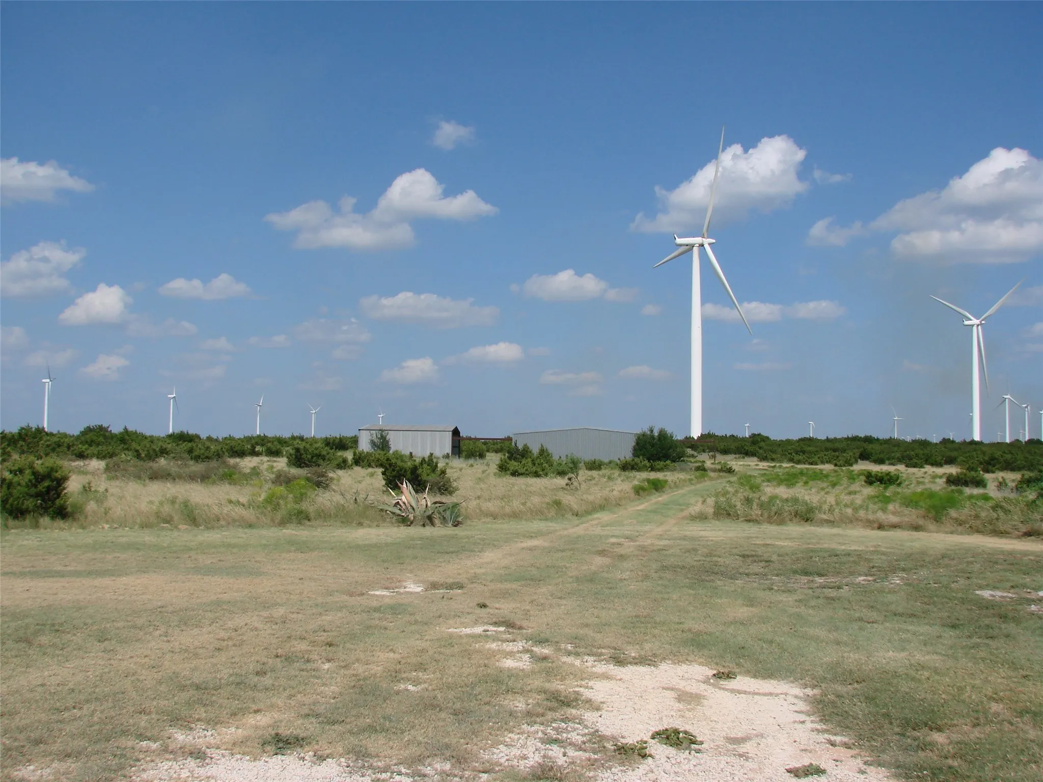 Ranch For Sale in Taylor County , 14653 US HWY 277, Wingate, Texas 79566, 0, 0, Garage spaces, 0 Sqft, built in 1985, mls#21225007, Real Estate Agent in Wingate, Homes For Sale in Taylor county, Homes For Sale in Wingate, Realtor in Wingate Texas, Real Estate Brokerage Independent Realty Texas, Luminita Cordes Realtor