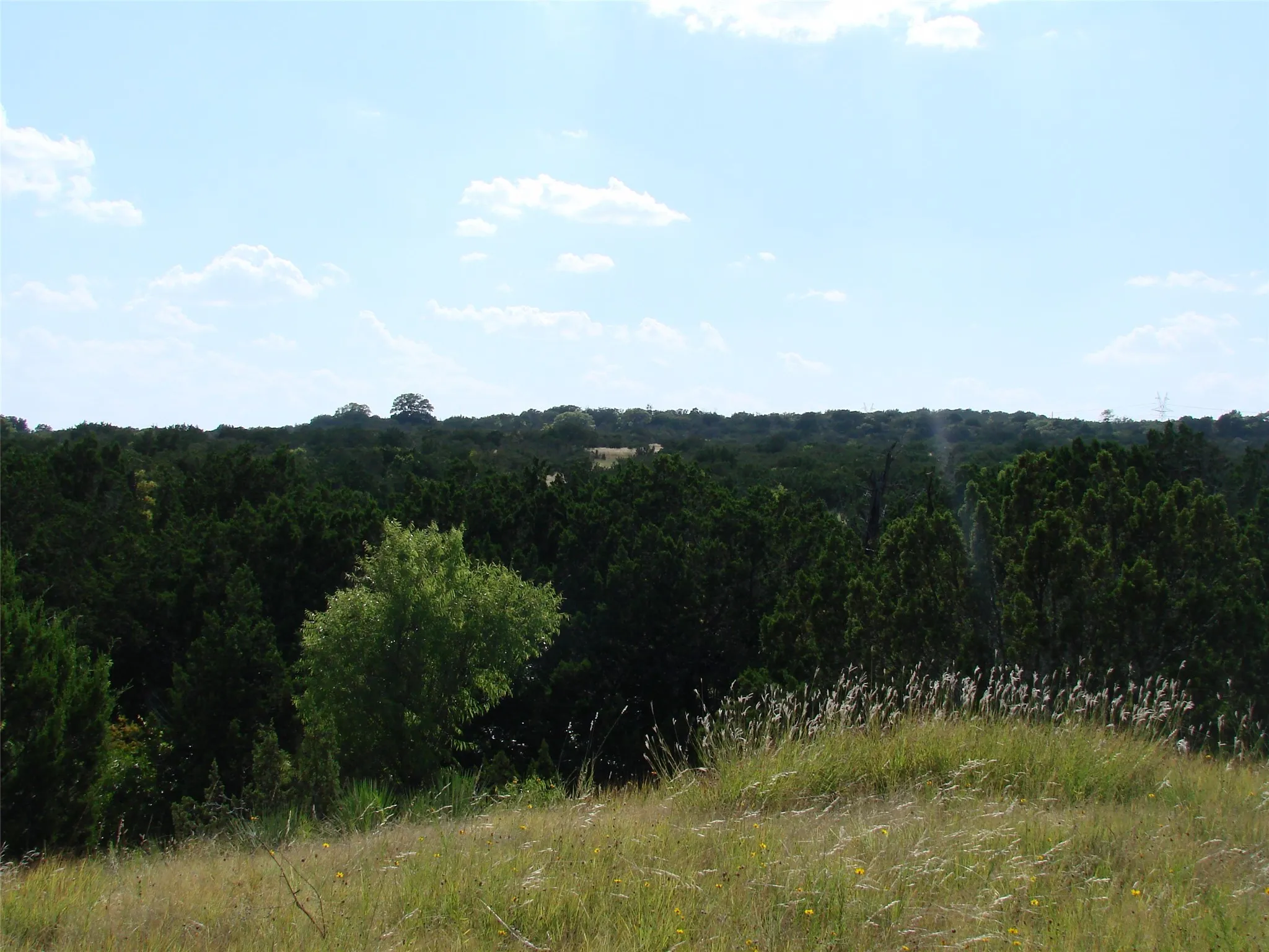 Ranch For Sale in Taylor County , 14653 US HWY 277, Wingate, Texas 79566, 0, 0, Garage spaces, 0 Sqft, built in 1985, mls#21225007, Real Estate Agent in Wingate, Homes For Sale in Taylor county, Homes For Sale in Wingate, Realtor in Wingate Texas, Real Estate Brokerage Independent Realty Texas, Luminita Cordes Realtor