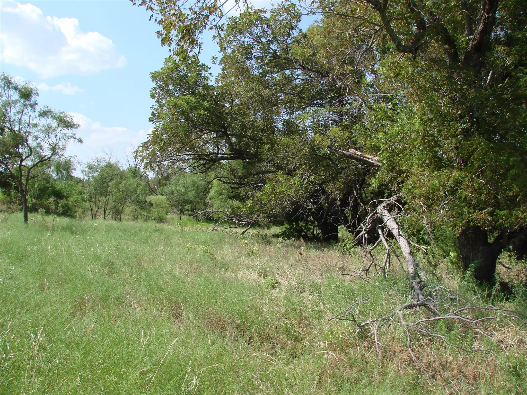 Ranch For Sale in Taylor County , 14653 US HWY 277, Wingate, Texas 79566, 0, 0, Garage spaces, 0 Sqft, built in 1985, mls#21225007, Real Estate Agent in Wingate, Homes For Sale in Taylor county, Homes For Sale in Wingate, Realtor in Wingate Texas, Real Estate Brokerage Independent Realty Texas, Luminita Cordes Realtor