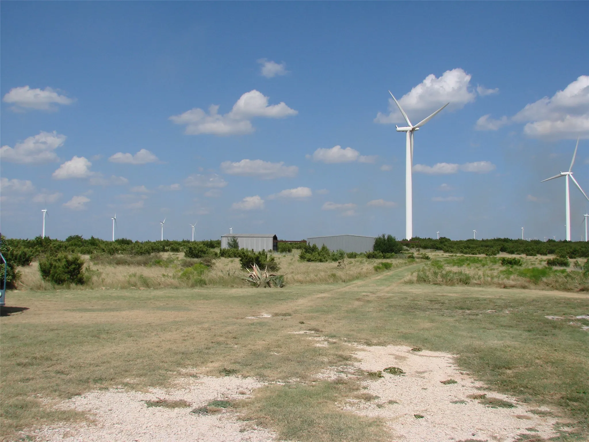 Ranch For Sale in Taylor County , 14653 US HWY 277, Wingate, Texas 79566, 0, 0, Garage spaces, 0 Sqft, built in 1985, mls#21225007, Real Estate Agent in Wingate, Homes For Sale in Taylor county, Homes For Sale in Wingate, Realtor in Wingate Texas, Real Estate Brokerage Independent Realty Texas, Luminita Cordes Realtor