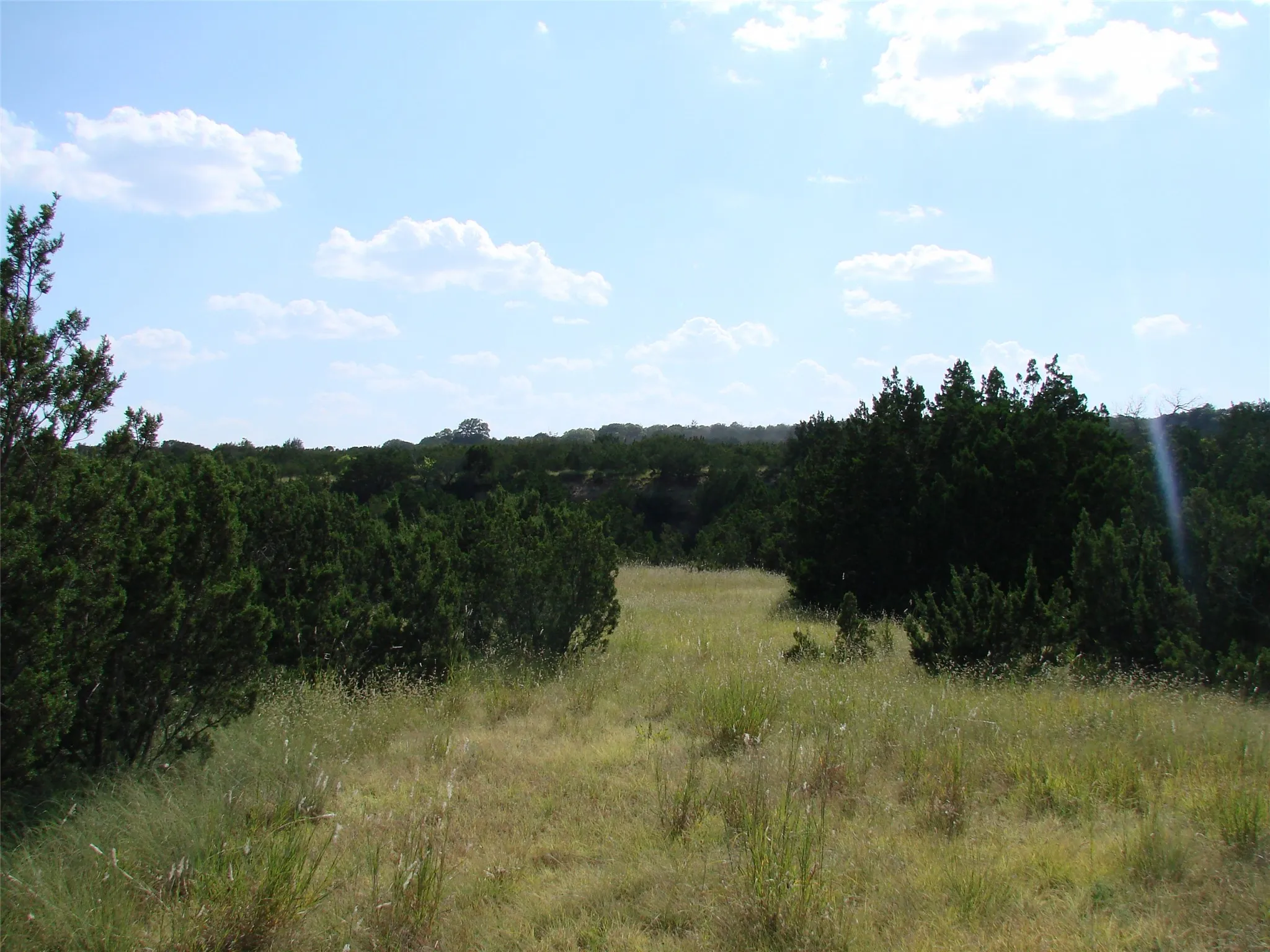 Ranch For Sale in Taylor County , 14653 US HWY 277, Wingate, Texas 79566, 0, 0, Garage spaces, 0 Sqft, built in 1985, mls#21225007, Real Estate Agent in Wingate, Homes For Sale in Taylor county, Homes For Sale in Wingate, Realtor in Wingate Texas, Real Estate Brokerage Independent Realty Texas, Luminita Cordes Realtor