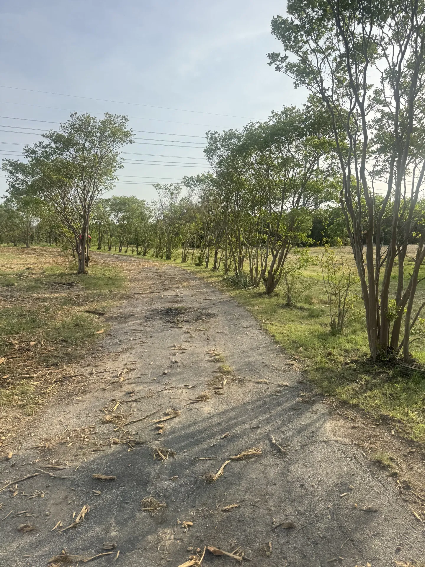 View of road