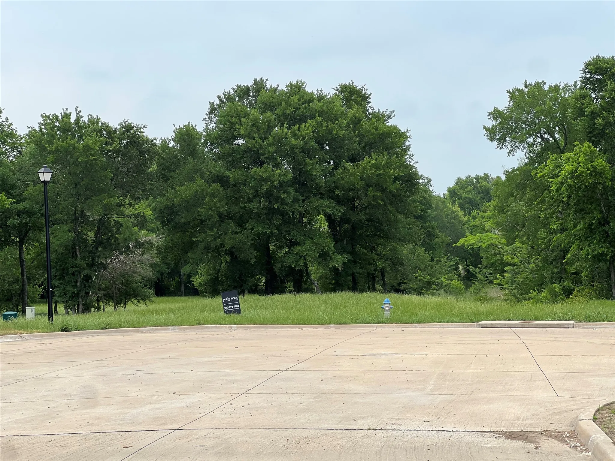 Expansive undeveloped lot featuring mature trees and lush green foliage