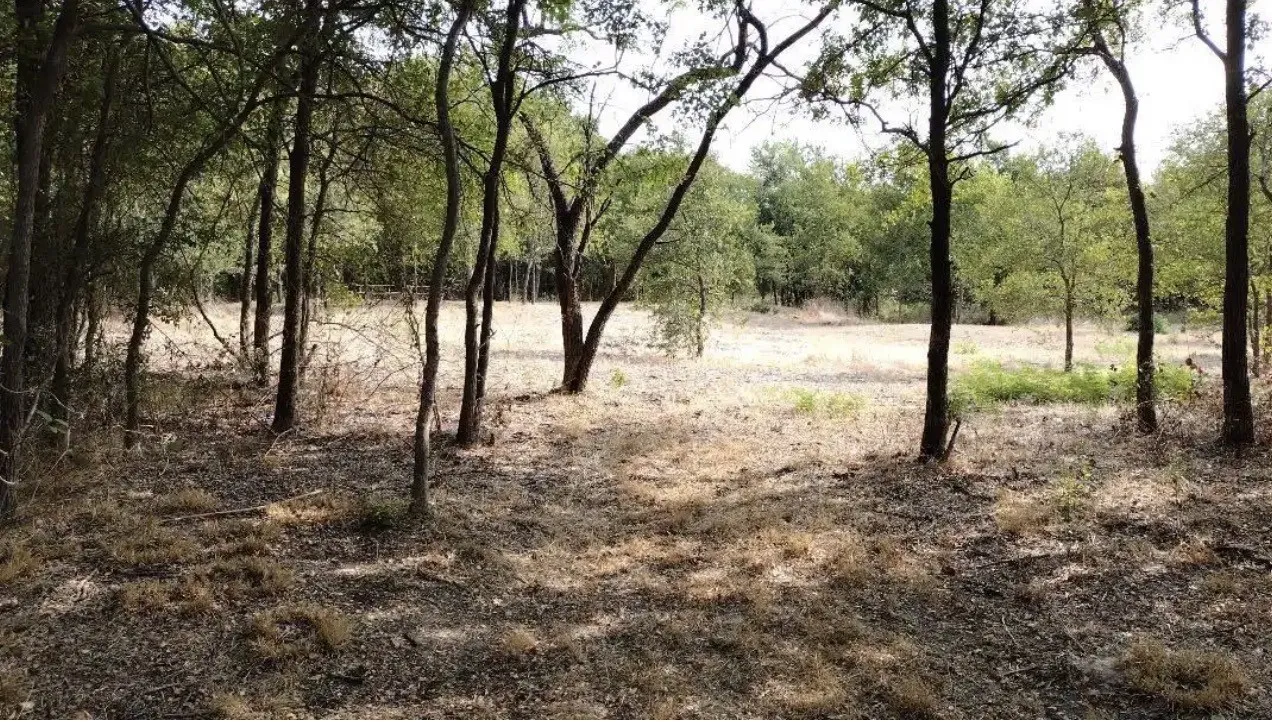 View of undeveloped land