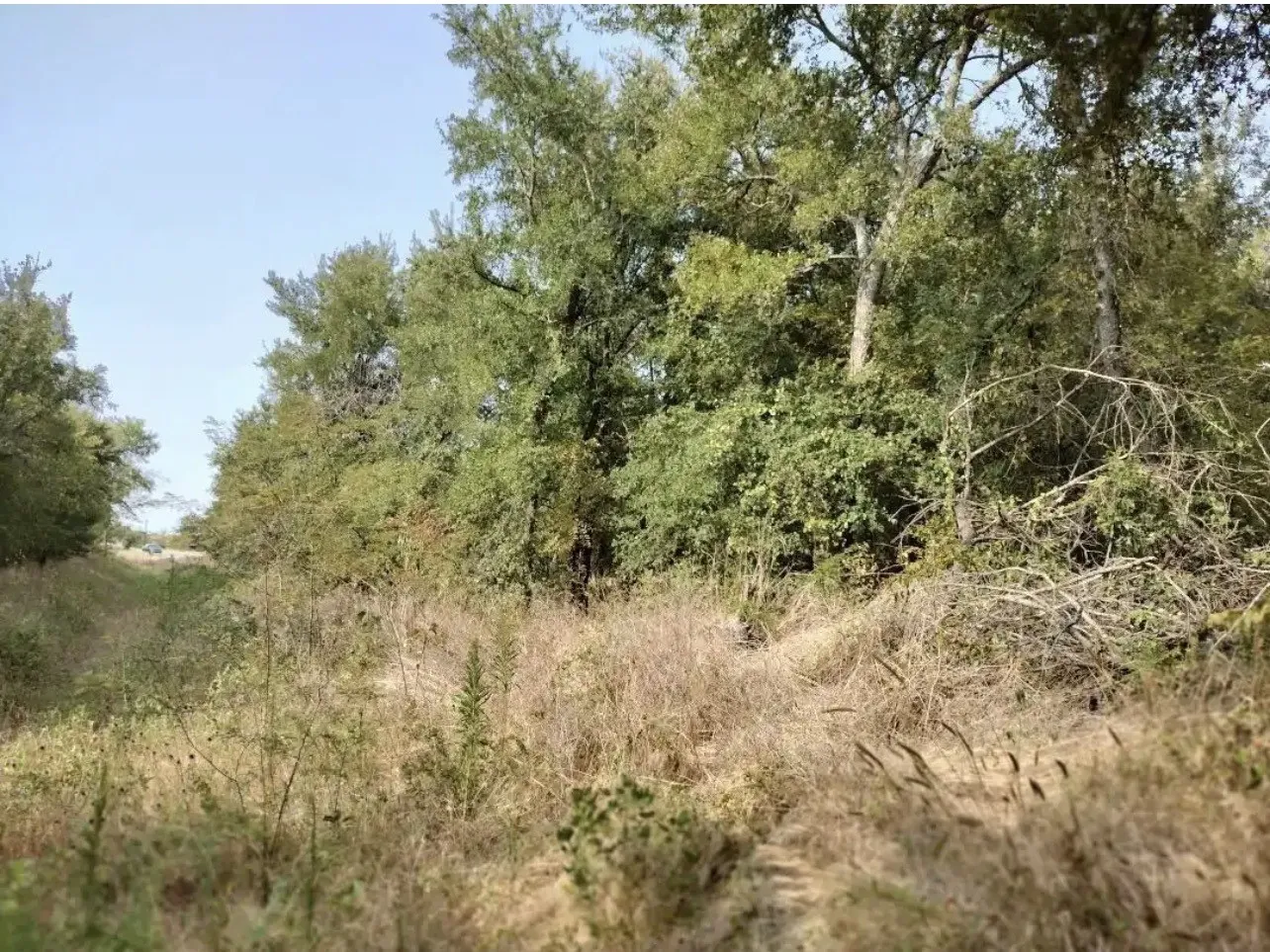 View of undeveloped land