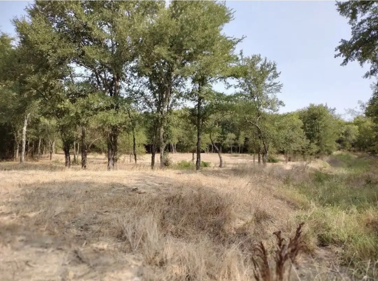View of undeveloped land with rural landscape