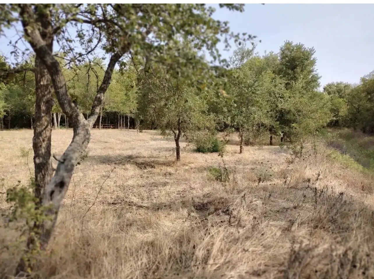 View of nature with rural landscape