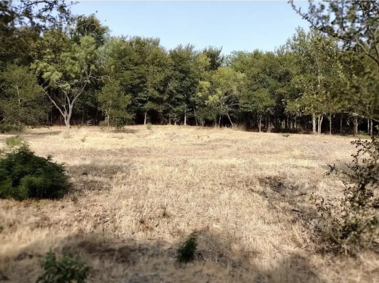 View of local wilderness featuring rural landscape