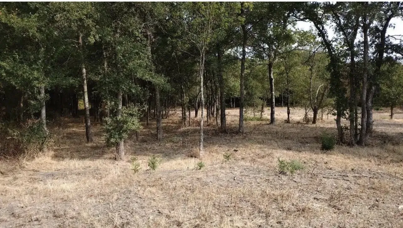 View of undeveloped land