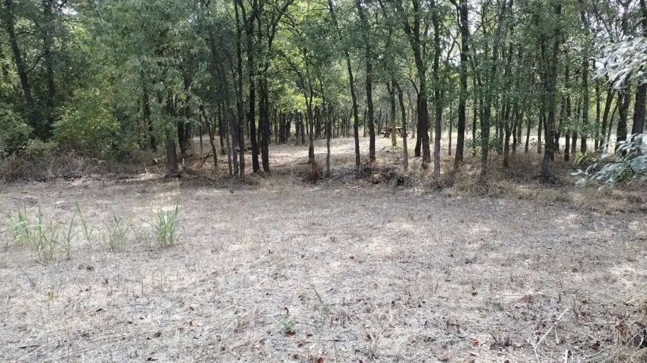 View of nature