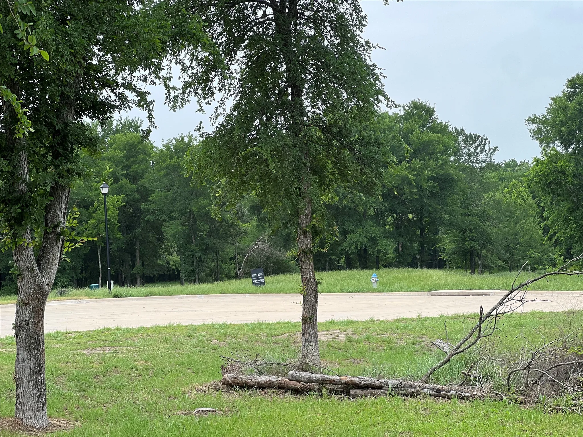 Level lot featuring mature trees and a paved street