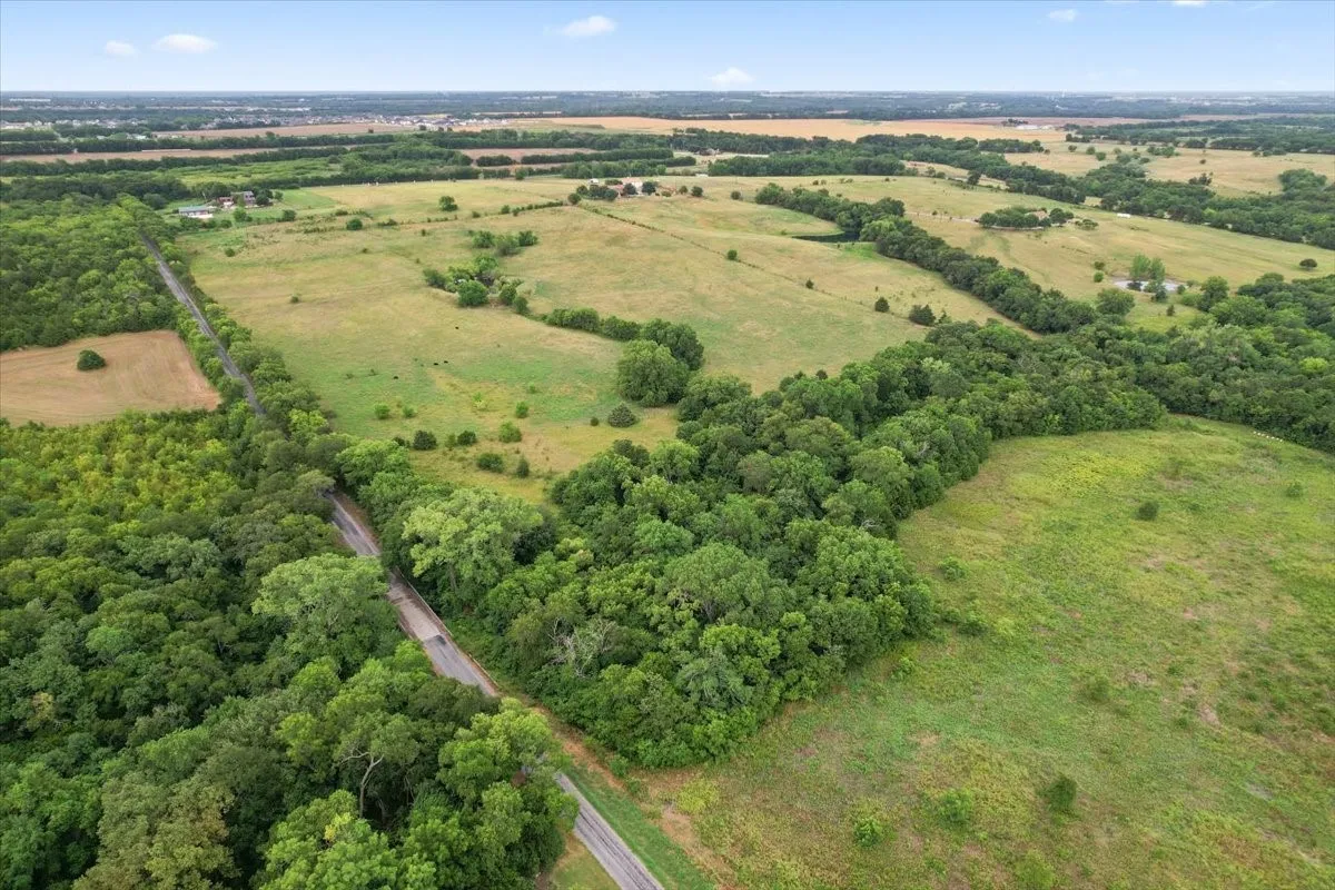 Unimproved Land For Sale in Grayson County , 00 Whitaker Road, Van Alstyne, Texas 75495, 0, 0, Garage spaces, 0 Sqft, built in 0, Price $935,000, mls#21225220, Real Estate Agent in Van Alstyne, Homes For Sale in Grayson county, Homes For Sale in Van Alstyne, Realtor in Van Alstyne Texas, Real Estate Brokerage Independent Realty Texas, Luminita Cordes Realtor