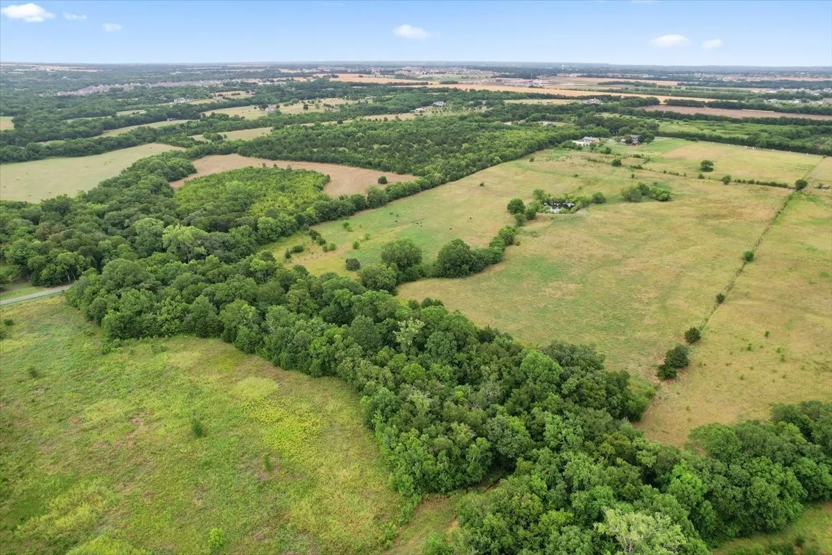 Unimproved Land For Sale in Grayson County , 00 Whitaker Road, Van Alstyne, Texas 75495, 0, 0, Garage spaces, 0 Sqft, built in 0, Price $935,000, mls#21225220, Real Estate Agent in Van Alstyne, Homes For Sale in Grayson county, Homes For Sale in Van Alstyne, Realtor in Van Alstyne Texas, Real Estate Brokerage Independent Realty Texas, Luminita Cordes Realtor