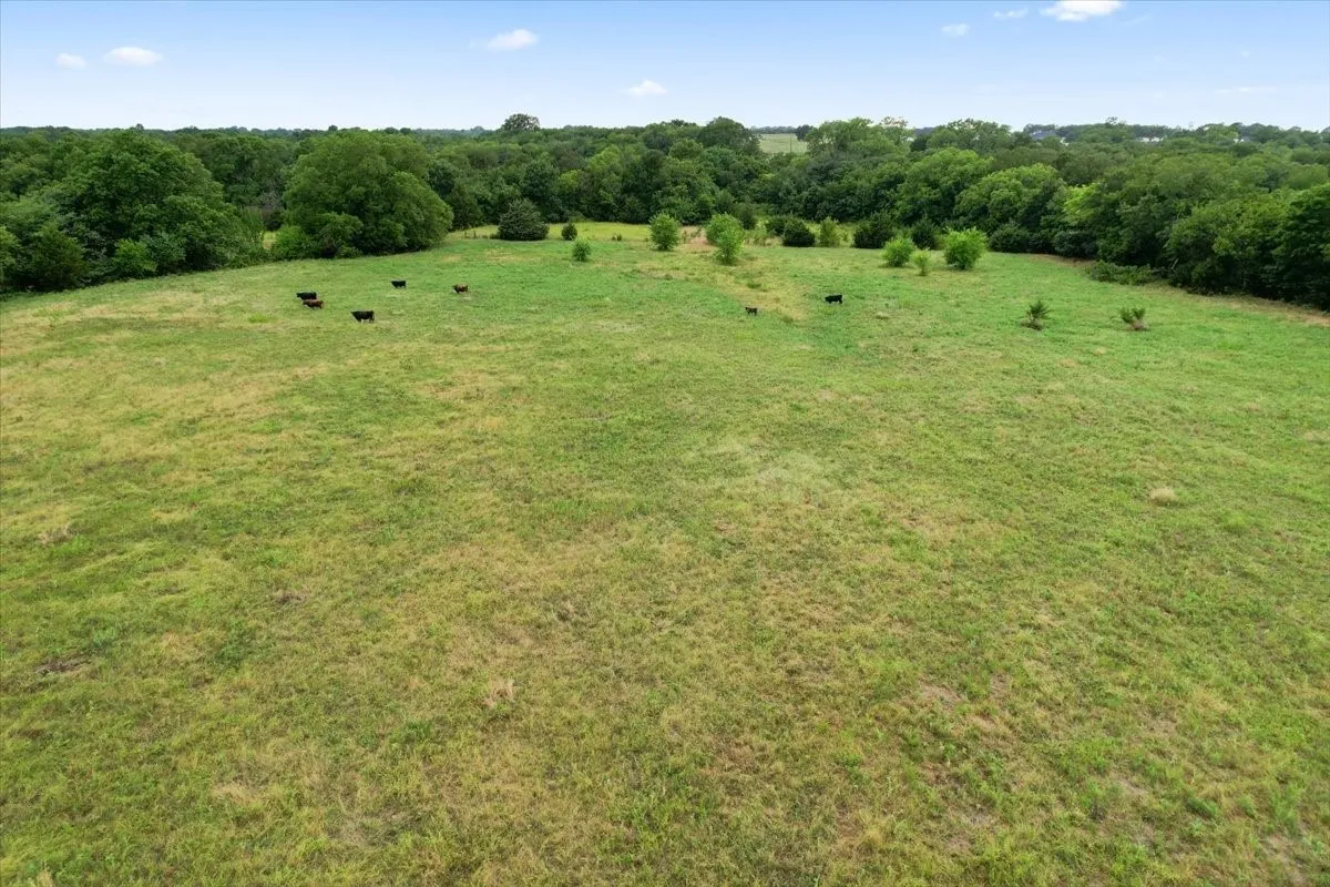 Unimproved Land For Sale in Grayson County , 00 Whitaker Road, Van Alstyne, Texas 75495, 0, 0, Garage spaces, 0 Sqft, built in 0, Price $935,000, mls#21225220, Real Estate Agent in Van Alstyne, Homes For Sale in Grayson county, Homes For Sale in Van Alstyne, Realtor in Van Alstyne Texas, Real Estate Brokerage Independent Realty Texas, Luminita Cordes Realtor