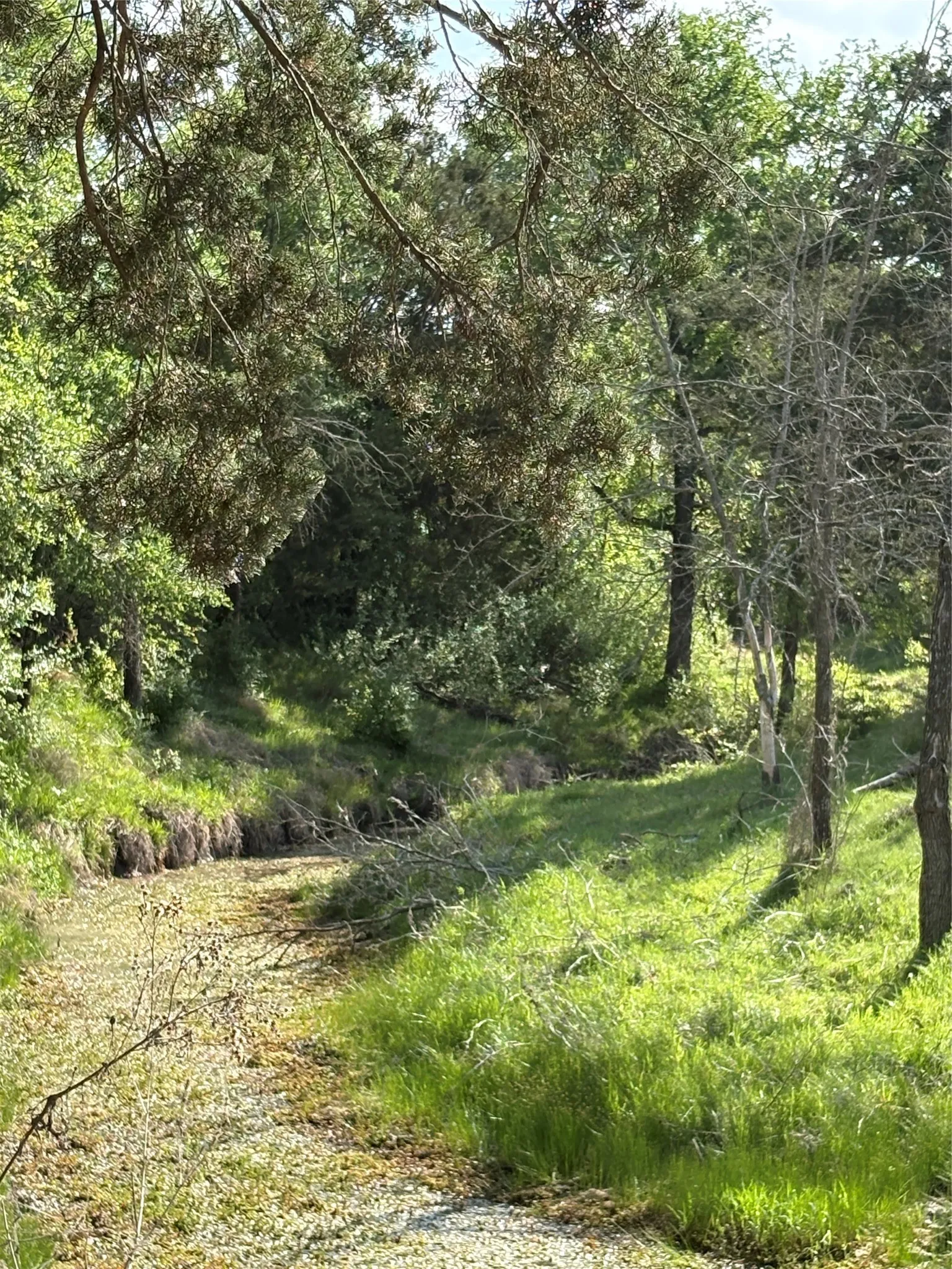 Improved Land For Sale in Comanche County , TBD Whitetail Springs Lane, Gustine, Texas 76455, 0, 0, Garage spaces, 0 Sqft, built in 0, mls#21222490, Real Estate Agent in Gustine, Homes For Sale in Comanche county, Homes For Sale in Gustine, Realtor in Gustine Texas, Real Estate Brokerage Independent Realty Texas, Luminita Cordes Realtor