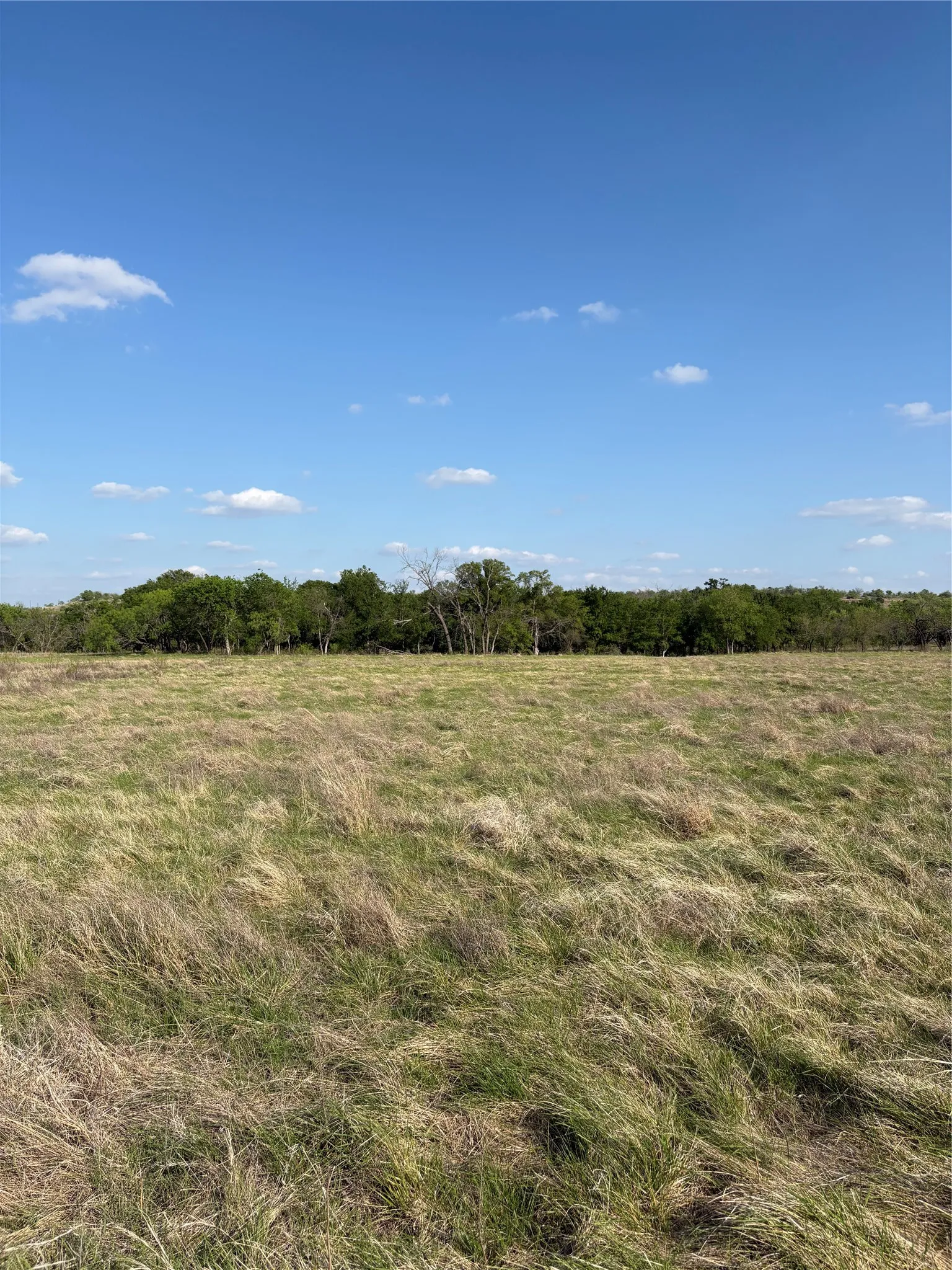 Improved Land For Sale in Comanche County , TBD Whitetail Springs Lane, Gustine, Texas 76455, 0, 0, Garage spaces, 0 Sqft, built in 0, mls#21222490, Real Estate Agent in Gustine, Homes For Sale in Comanche county, Homes For Sale in Gustine, Realtor in Gustine Texas, Real Estate Brokerage Independent Realty Texas, Luminita Cordes Realtor