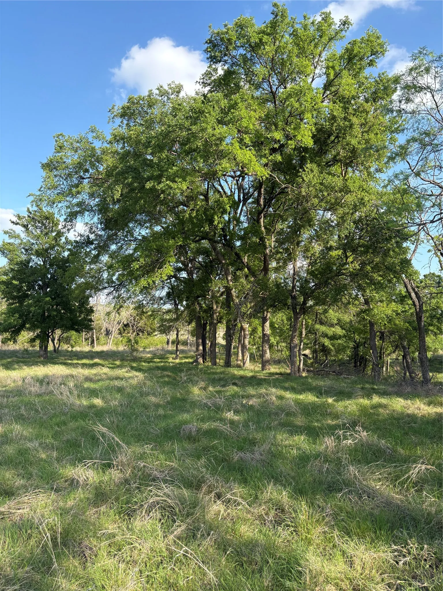 Improved Land For Sale in Comanche County , TBD Whitetail Springs Lane, Gustine, Texas 76455, 0, 0, Garage spaces, 0 Sqft, built in 0, mls#21222490, Real Estate Agent in Gustine, Homes For Sale in Comanche county, Homes For Sale in Gustine, Realtor in Gustine Texas, Real Estate Brokerage Independent Realty Texas, Luminita Cordes Realtor