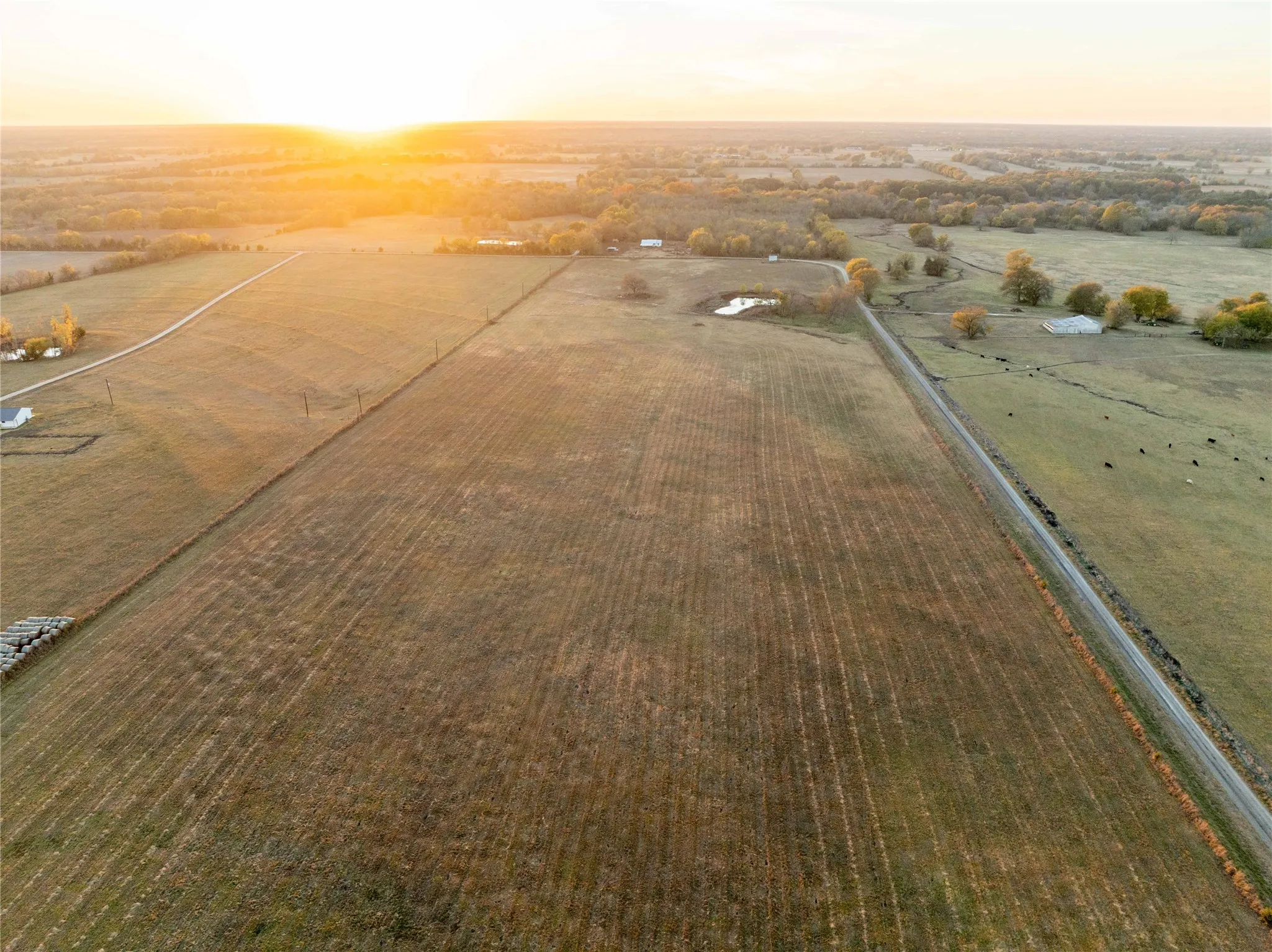 Unimproved Land For Sale in Lamar County , TBD LOT 8 CR 15200, Pattonville, Texas 75468, 0, 0, Garage spaces, 0 Sqft, built in 0, mls#21226728, Real Estate Agent in Pattonville, Homes For Sale in Lamar county, Homes For Sale in Pattonville, Realtor in Pattonville Texas, Real Estate Brokerage Independent Realty Texas, Luminita Cordes Realtor