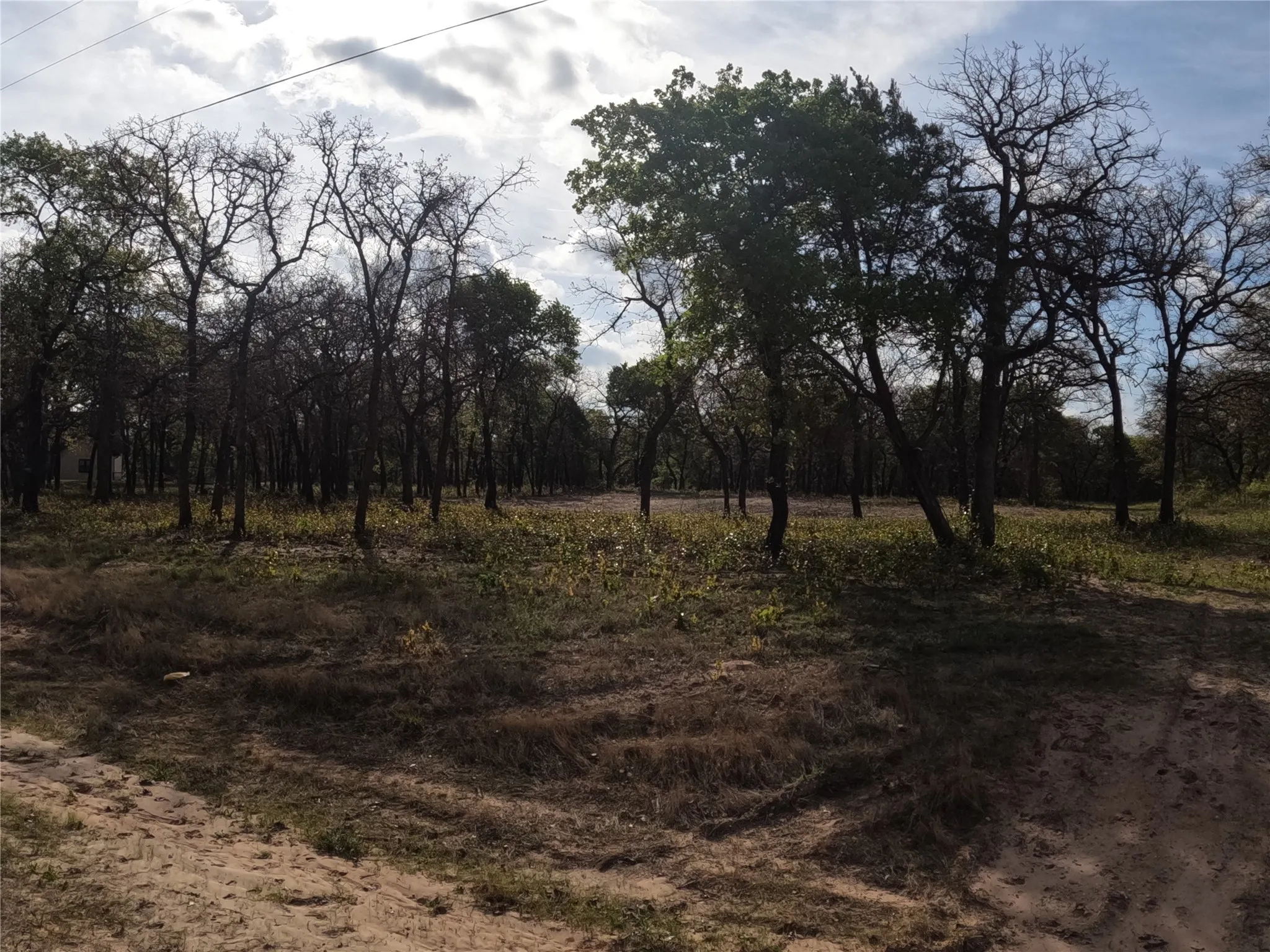 Unimproved Land For Sale in Hood County , 2113 Jeremy Street, Tolar, Texas 76476, 0, 0, Garage spaces, 0 Sqft, built in 0, mls#21224508, Real Estate Agent in Tolar, Homes For Sale in Hood county, Homes For Sale in Tolar, Realtor in Tolar Texas, Real Estate Brokerage Independent Realty Texas, Luminita Cordes Realtor