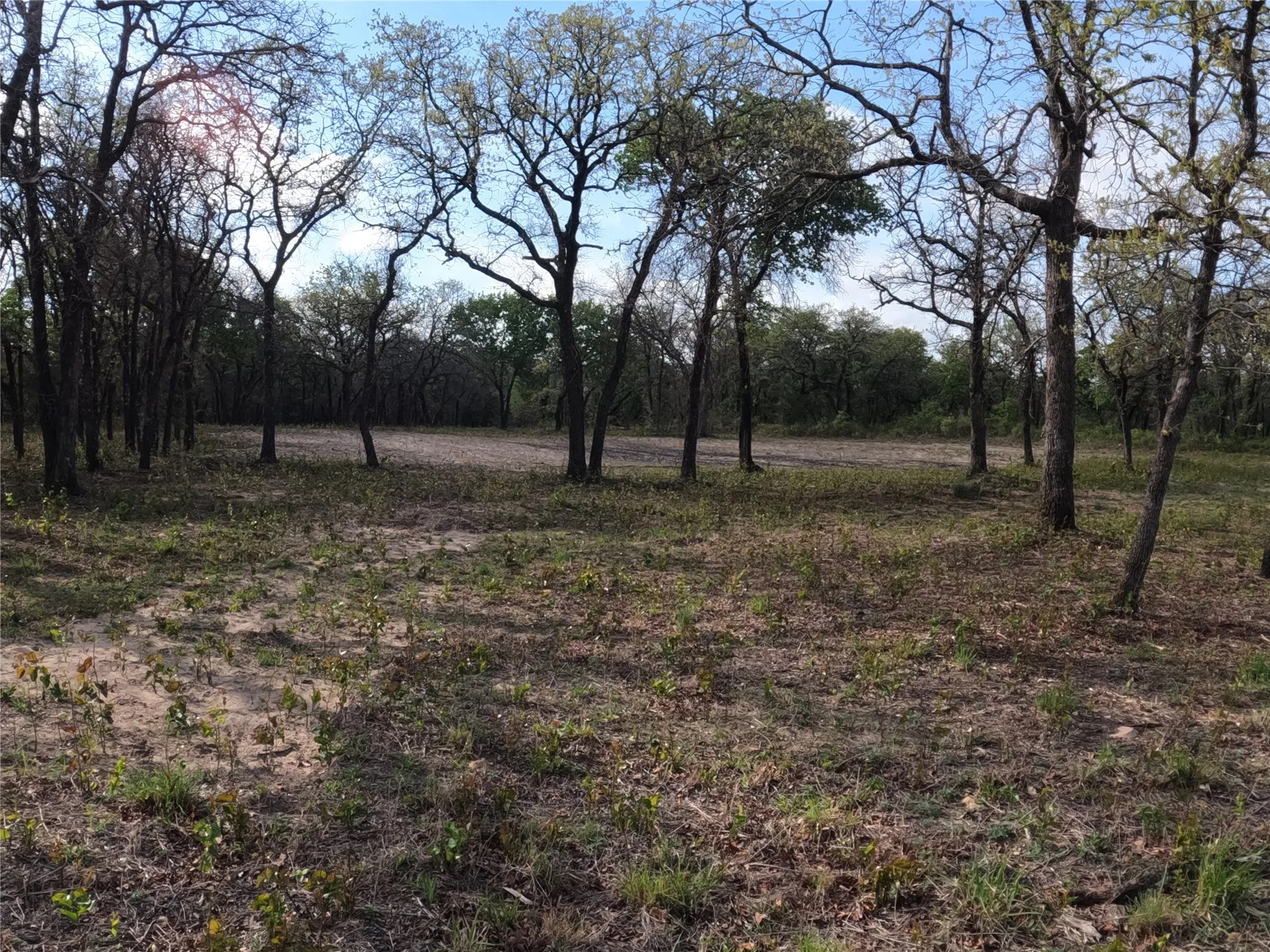 Unimproved Land For Sale in Hood County , 2113 Jeremy Street, Tolar, Texas 76476, 0, 0, Garage spaces, 0 Sqft, built in 0, mls#21224508, Real Estate Agent in Tolar, Homes For Sale in Hood county, Homes For Sale in Tolar, Realtor in Tolar Texas, Real Estate Brokerage Independent Realty Texas, Luminita Cordes Realtor