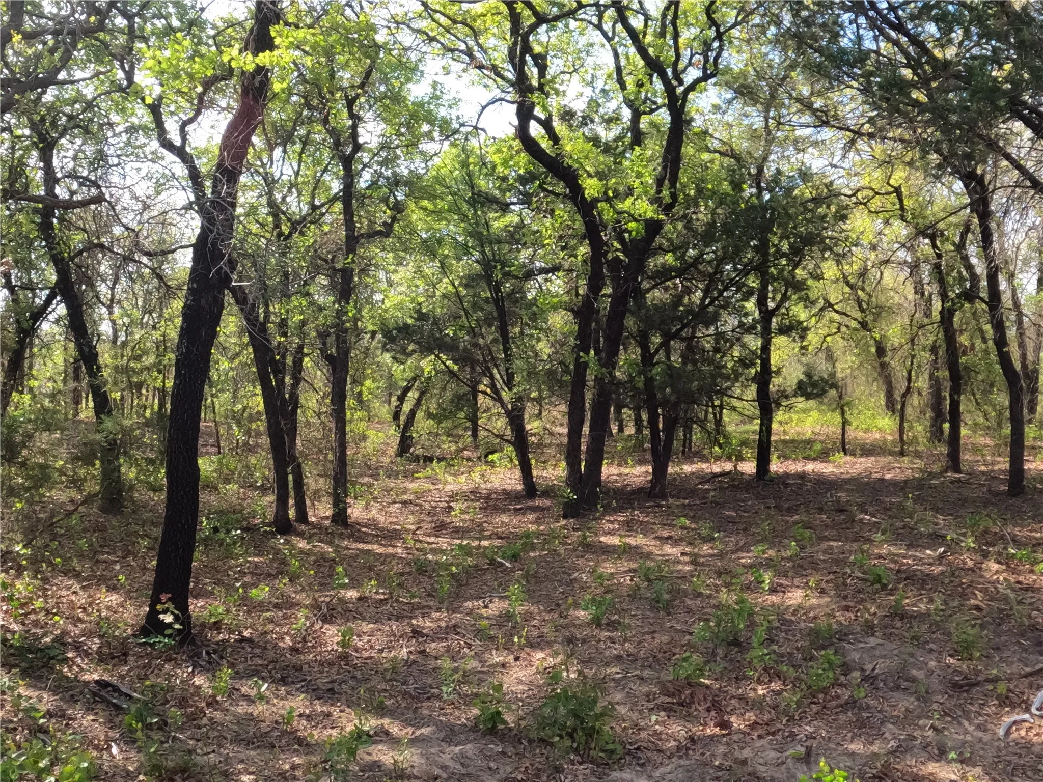 Unimproved Land For Sale in Hood County , 2113 Jeremy Street, Tolar, Texas 76476, 0, 0, Garage spaces, 0 Sqft, built in 0, mls#21224508, Real Estate Agent in Tolar, Homes For Sale in Hood county, Homes For Sale in Tolar, Realtor in Tolar Texas, Real Estate Brokerage Independent Realty Texas, Luminita Cordes Realtor