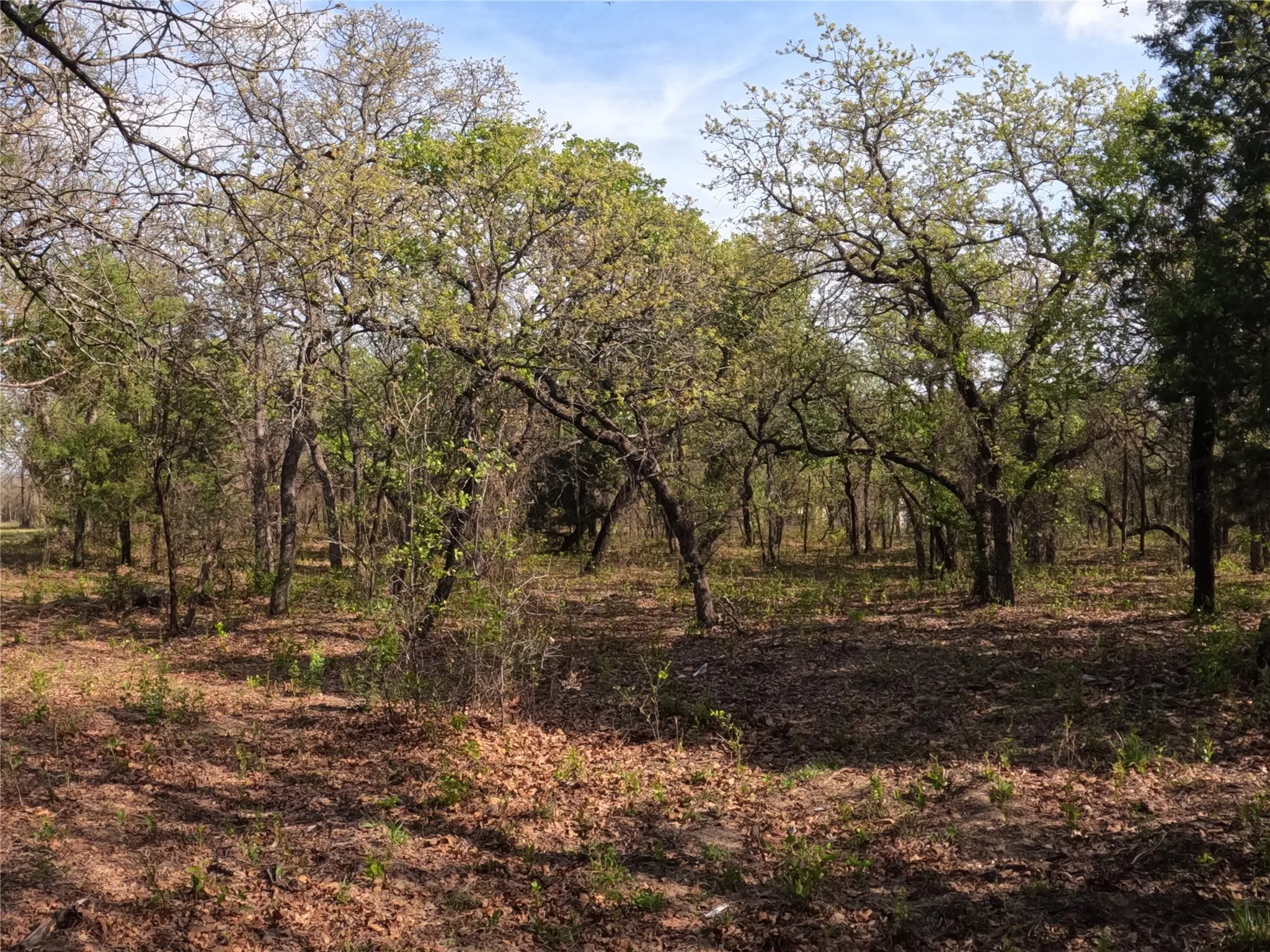 Unimproved Land For Sale in Hood County , 2113 Jeremy Street, Tolar, Texas 76476, 0, 0, Garage spaces, 0 Sqft, built in 0, mls#21224508, Real Estate Agent in Tolar, Homes For Sale in Hood county, Homes For Sale in Tolar, Realtor in Tolar Texas, Real Estate Brokerage Independent Realty Texas, Luminita Cordes Realtor
