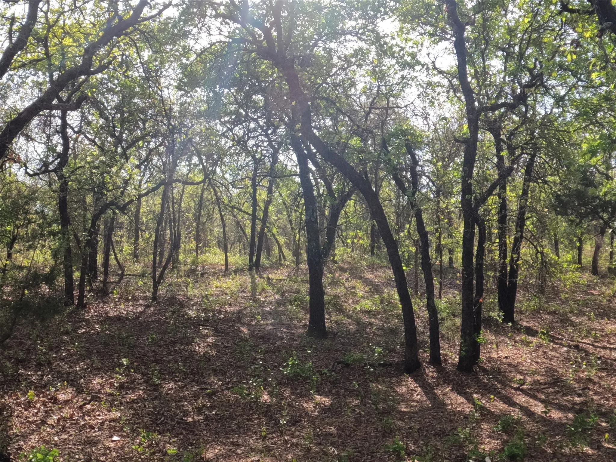 Unimproved Land For Sale in Hood County , 2113 Jeremy Street, Tolar, Texas 76476, 0, 0, Garage spaces, 0 Sqft, built in 0, mls#21224508, Real Estate Agent in Tolar, Homes For Sale in Hood county, Homes For Sale in Tolar, Realtor in Tolar Texas, Real Estate Brokerage Independent Realty Texas, Luminita Cordes Realtor