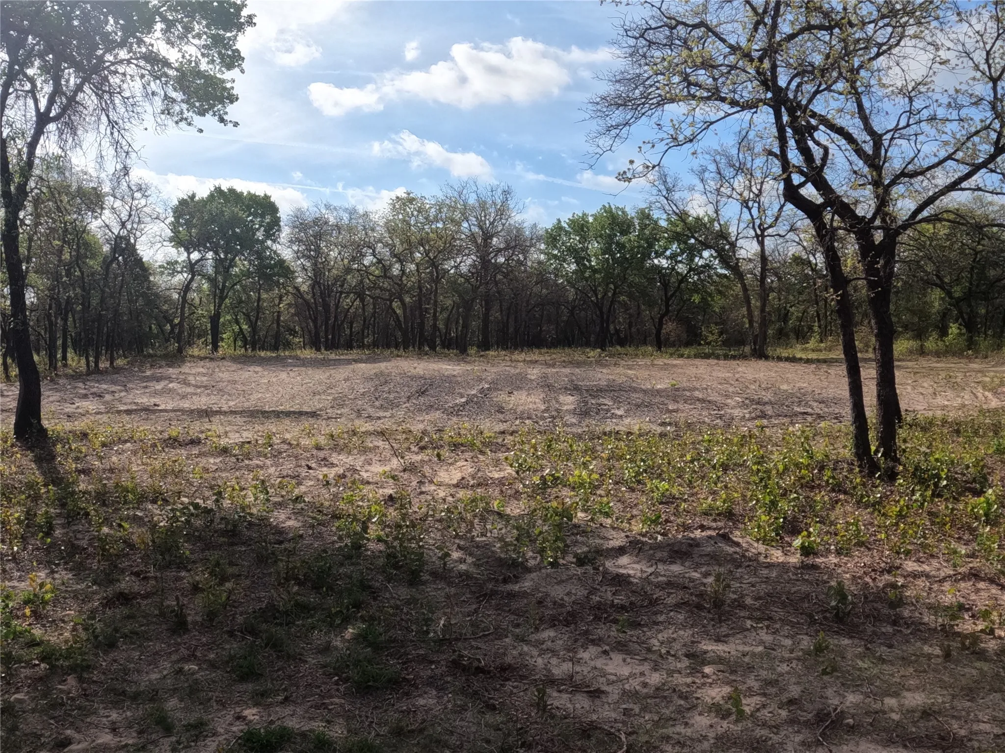 Cleared homesite area