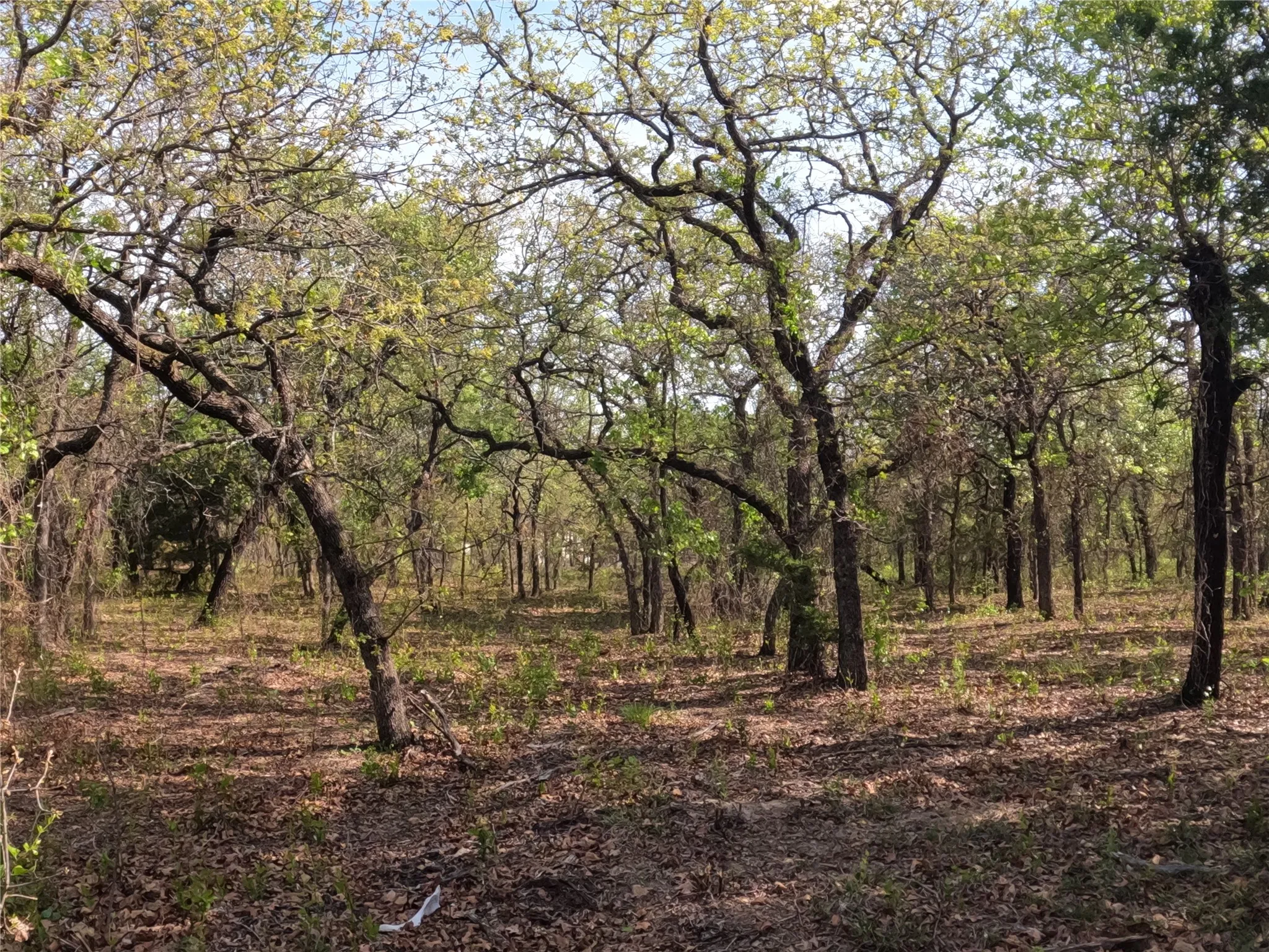 Unimproved Land For Sale in Hood County , 2113 Jeremy Street, Tolar, Texas 76476, 0, 0, Garage spaces, 0 Sqft, built in 0, mls#21224508, Real Estate Agent in Tolar, Homes For Sale in Hood county, Homes For Sale in Tolar, Realtor in Tolar Texas, Real Estate Brokerage Independent Realty Texas, Luminita Cordes Realtor