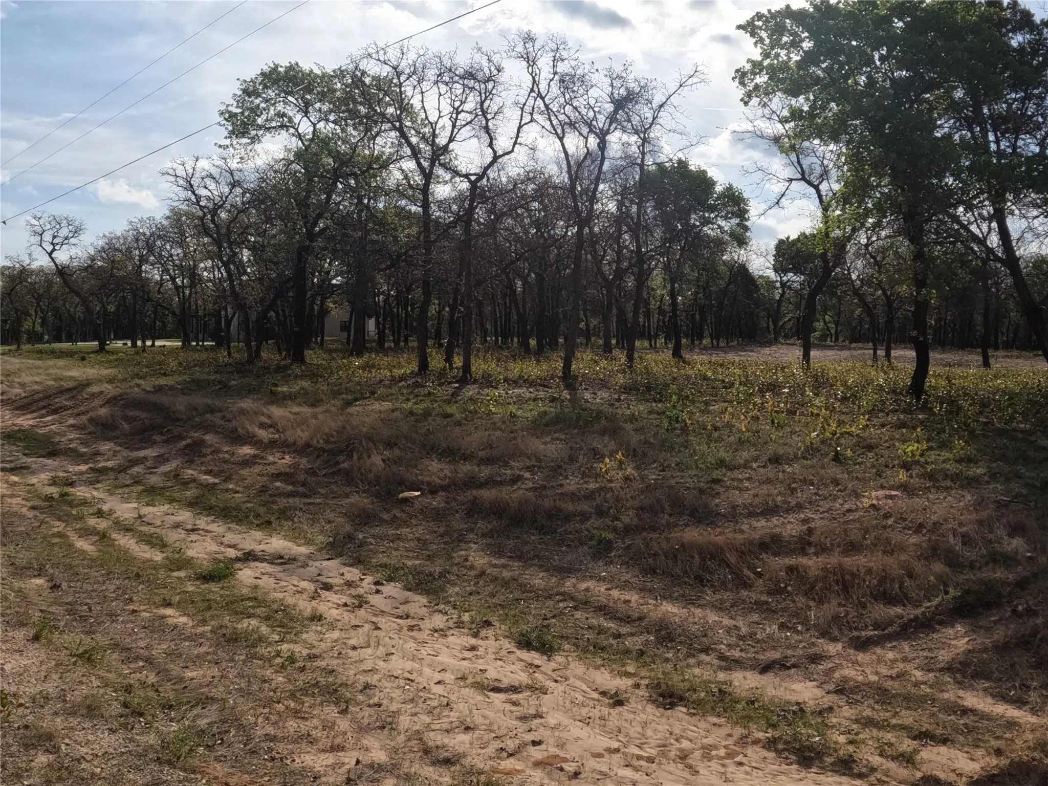 Unimproved Land For Sale in Hood County , 2113 Jeremy Street, Tolar, Texas 76476, 0, 0, Garage spaces, 0 Sqft, built in 0, mls#21224508, Real Estate Agent in Tolar, Homes For Sale in Hood county, Homes For Sale in Tolar, Realtor in Tolar Texas, Real Estate Brokerage Independent Realty Texas, Luminita Cordes Realtor