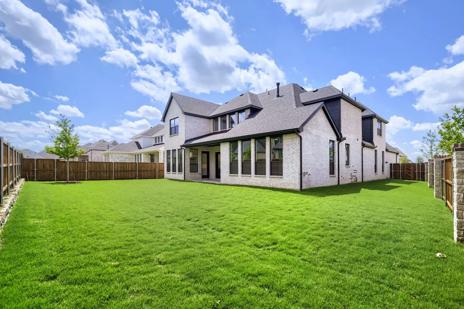 Expansive rear yard featuring a manicured lawn and a newly planted tree