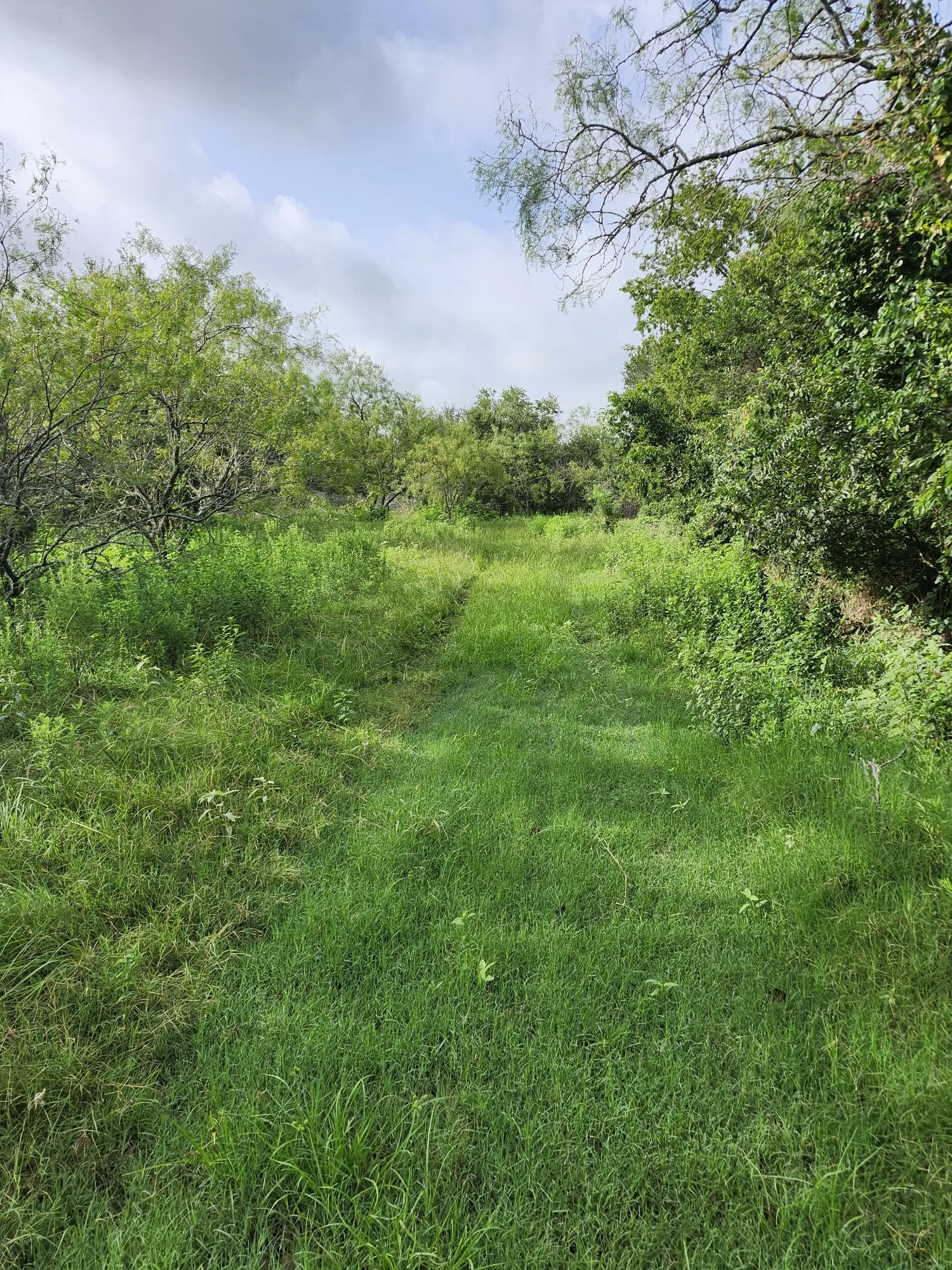 Improved Land For Sale in Falls County , 1202 Park Street, Marlin, Texas 76661, 0, 0, Garage spaces, 0 Sqft, built in 0, Price $80,000, mls#21226998, Real Estate Agent in Marlin, Homes For Sale in Falls county, Homes For Sale in Marlin, Realtor in Marlin Texas, Real Estate Brokerage Independent Realty Texas, Luminita Cordes Realtor