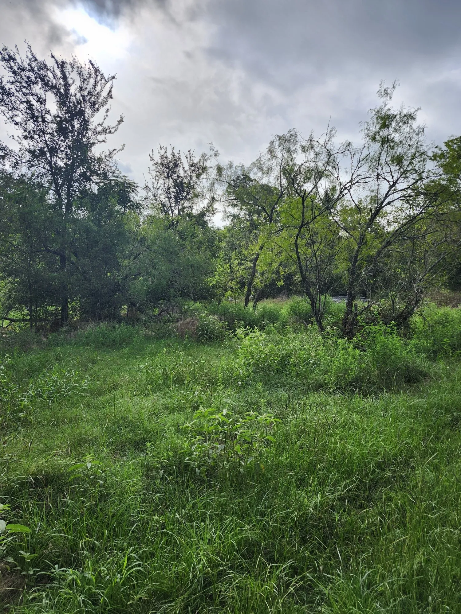 Improved Land For Sale in Falls County , 1202 Park Street, Marlin, Texas 76661, 0, 0, Garage spaces, 0 Sqft, built in 0, Price $80,000, mls#21226998, Real Estate Agent in Marlin, Homes For Sale in Falls county, Homes For Sale in Marlin, Realtor in Marlin Texas, Real Estate Brokerage Independent Realty Texas, Luminita Cordes Realtor